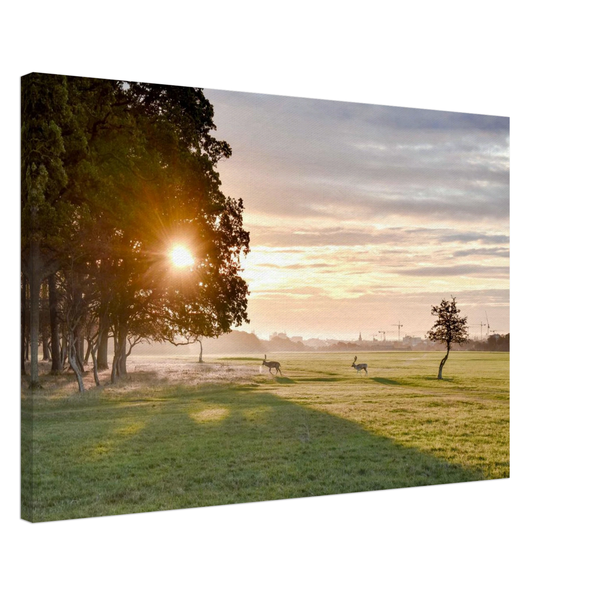 431d9380-0de0-436f-b22d-6fb1fddec190