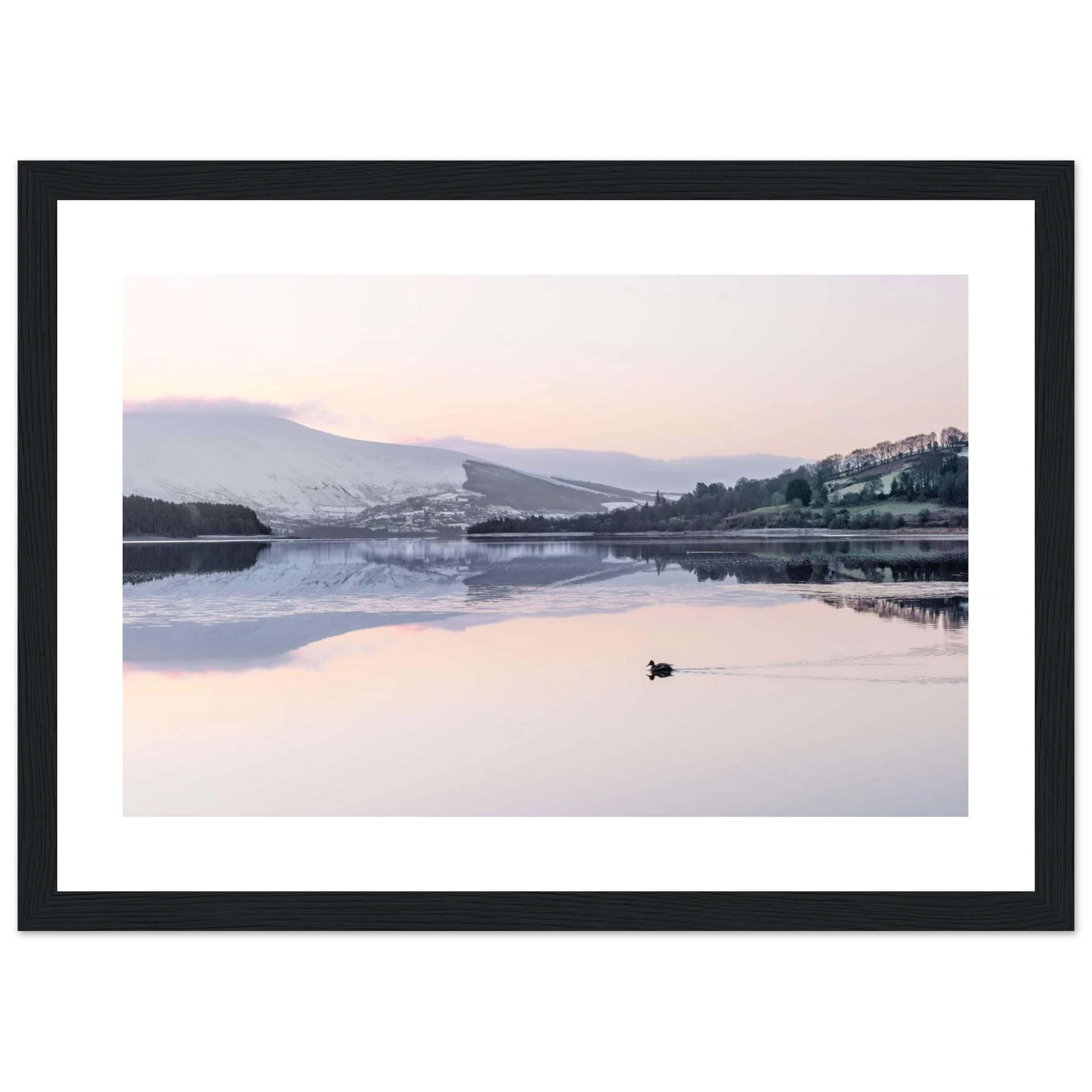 4327fd27-6c2e-4e63-98f9-0c48946a5077