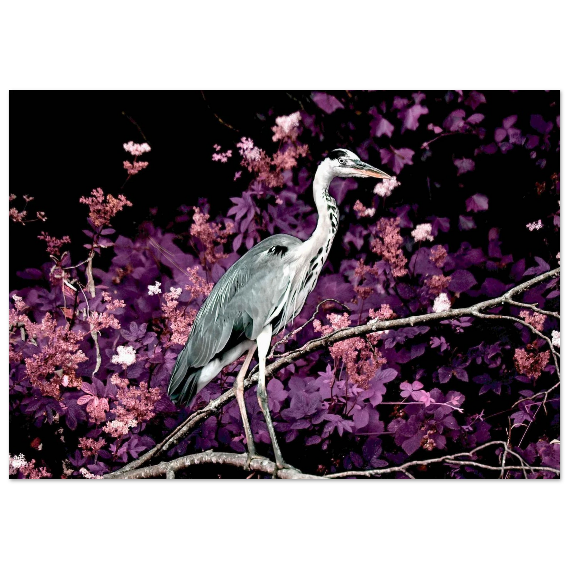 4375e058-aa1a-4e04-b3f5-3c8d5975b918