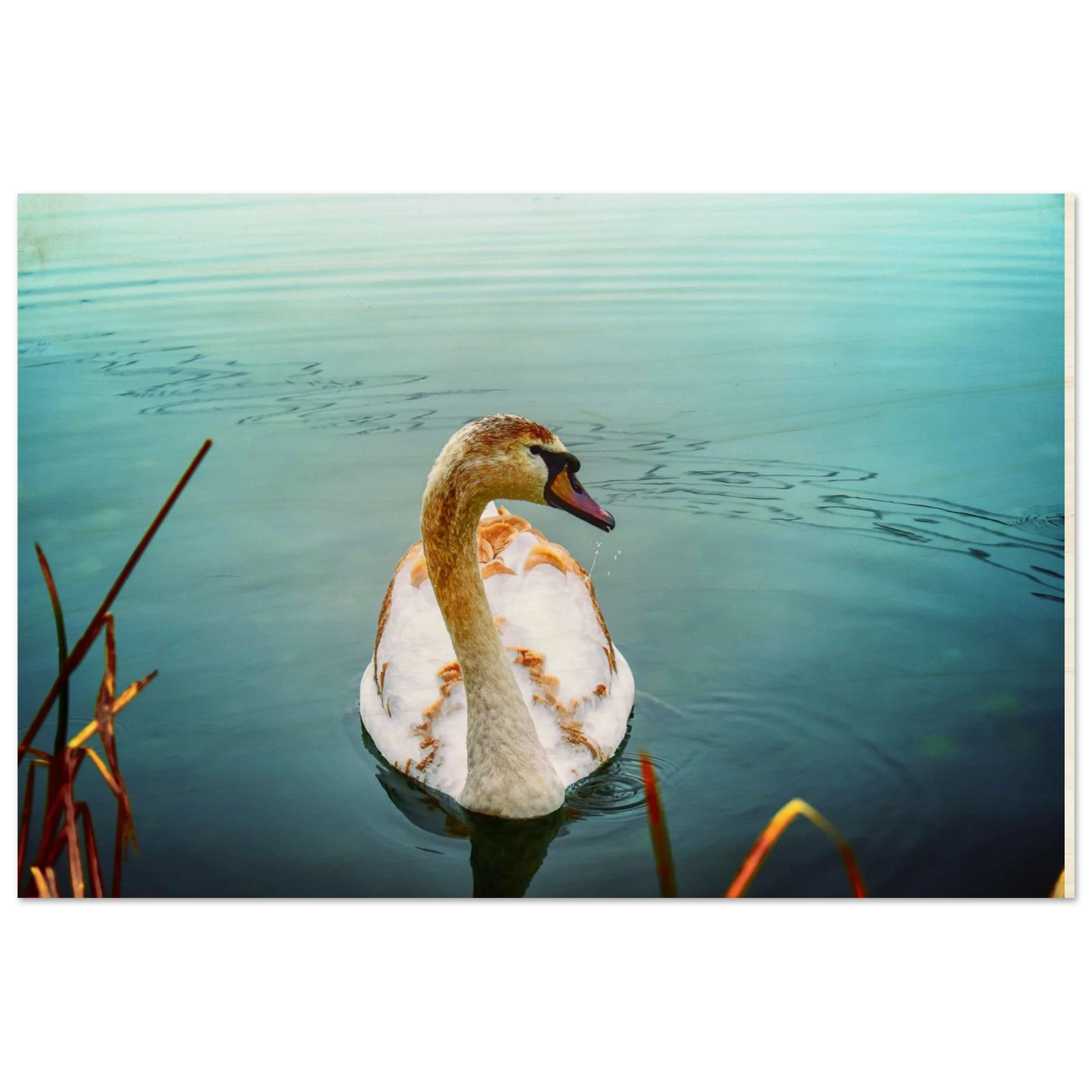 4388c62f-4741-4d39-ab8f-b6264a0f0075