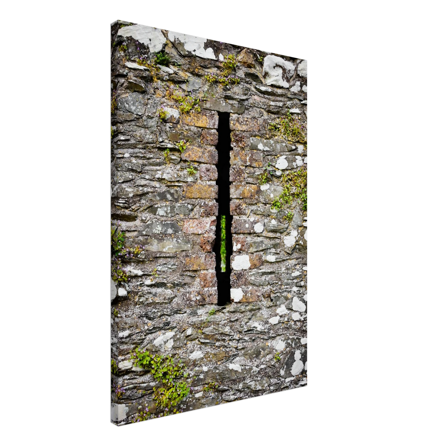 43905338-b6a0-4a2f-a977-c3d7b8b1b468