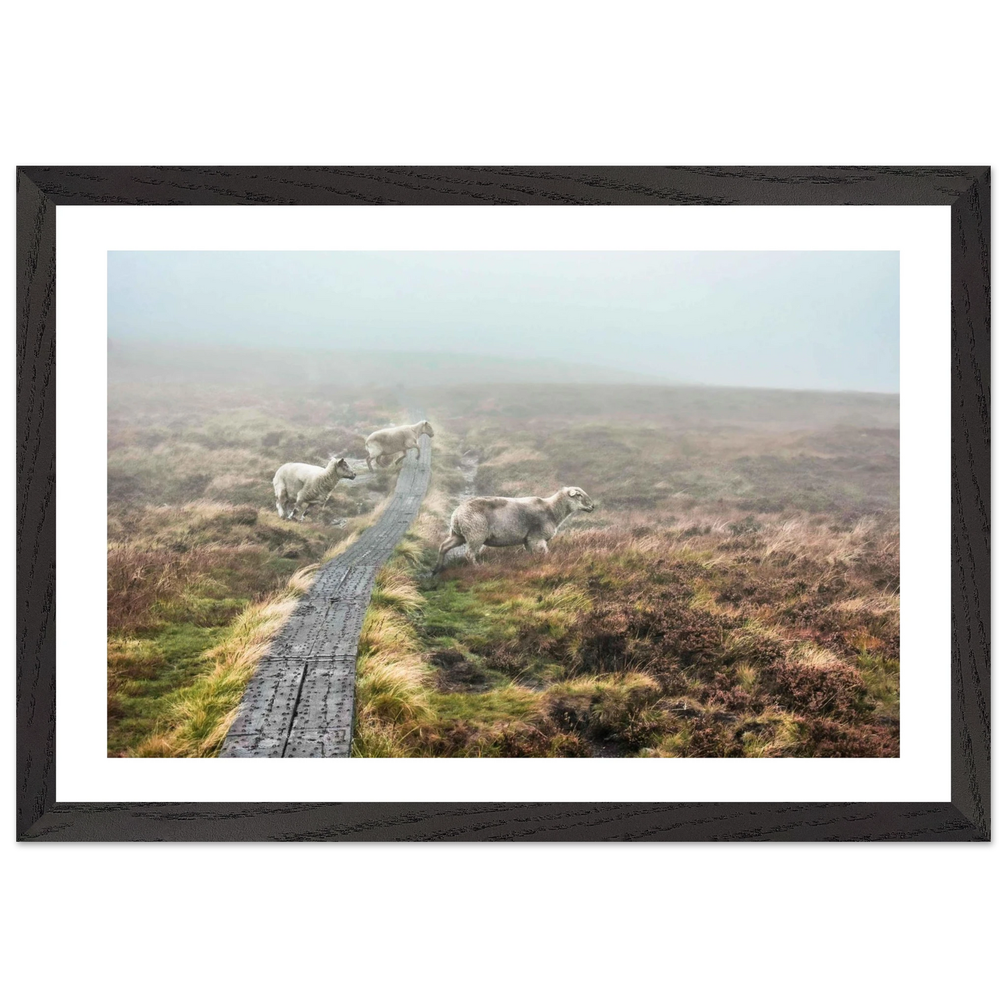 442e7ab5-1b77-4e42-b211-2a312d55cb3c