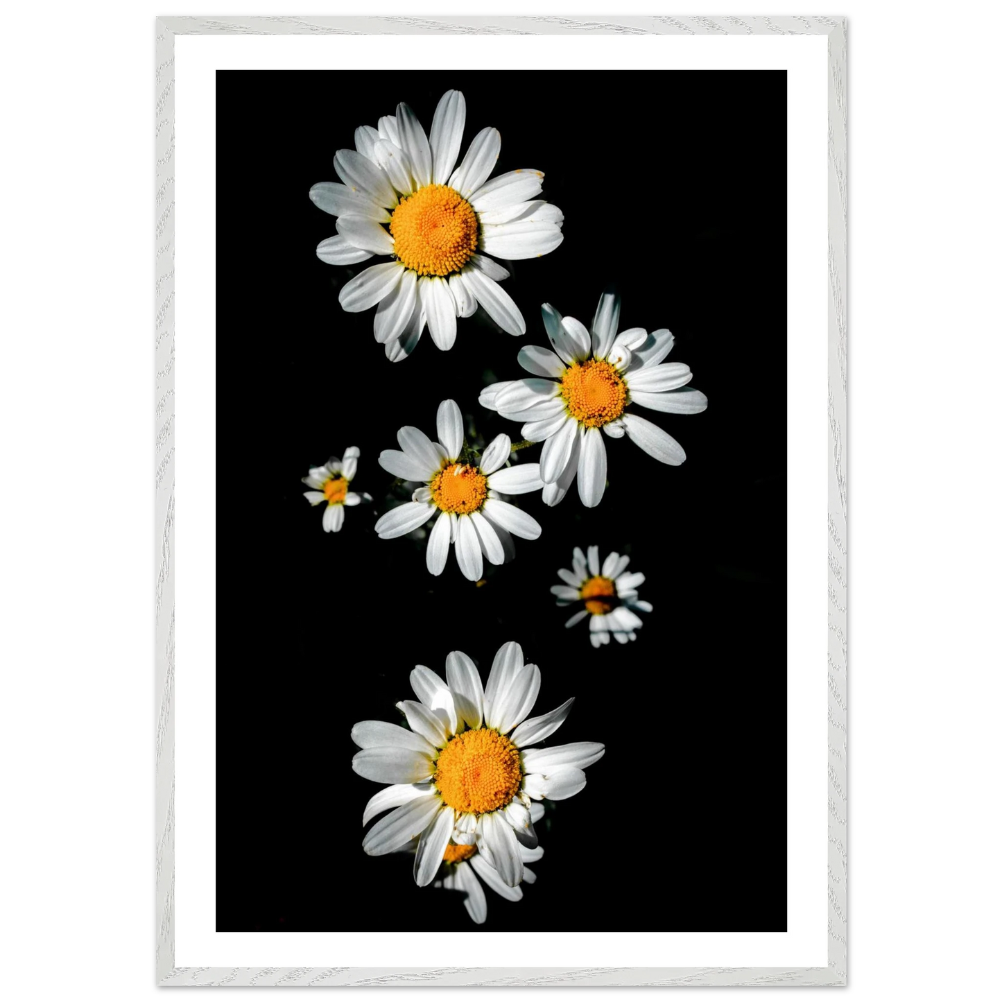 44633d34-689f-4bba-ab10-1c97861917c9