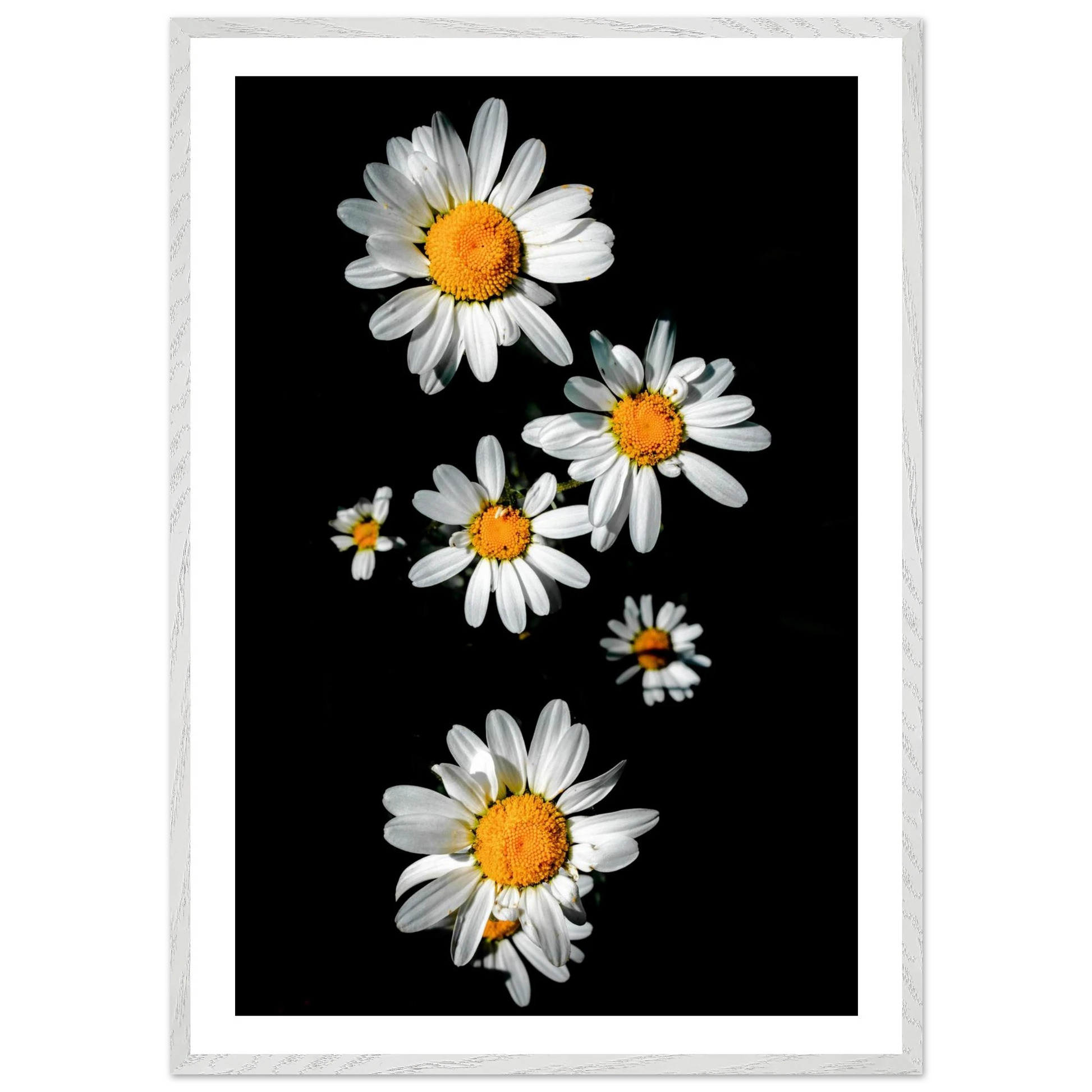 44633d34-689f-4bba-ab10-1c97861917c9