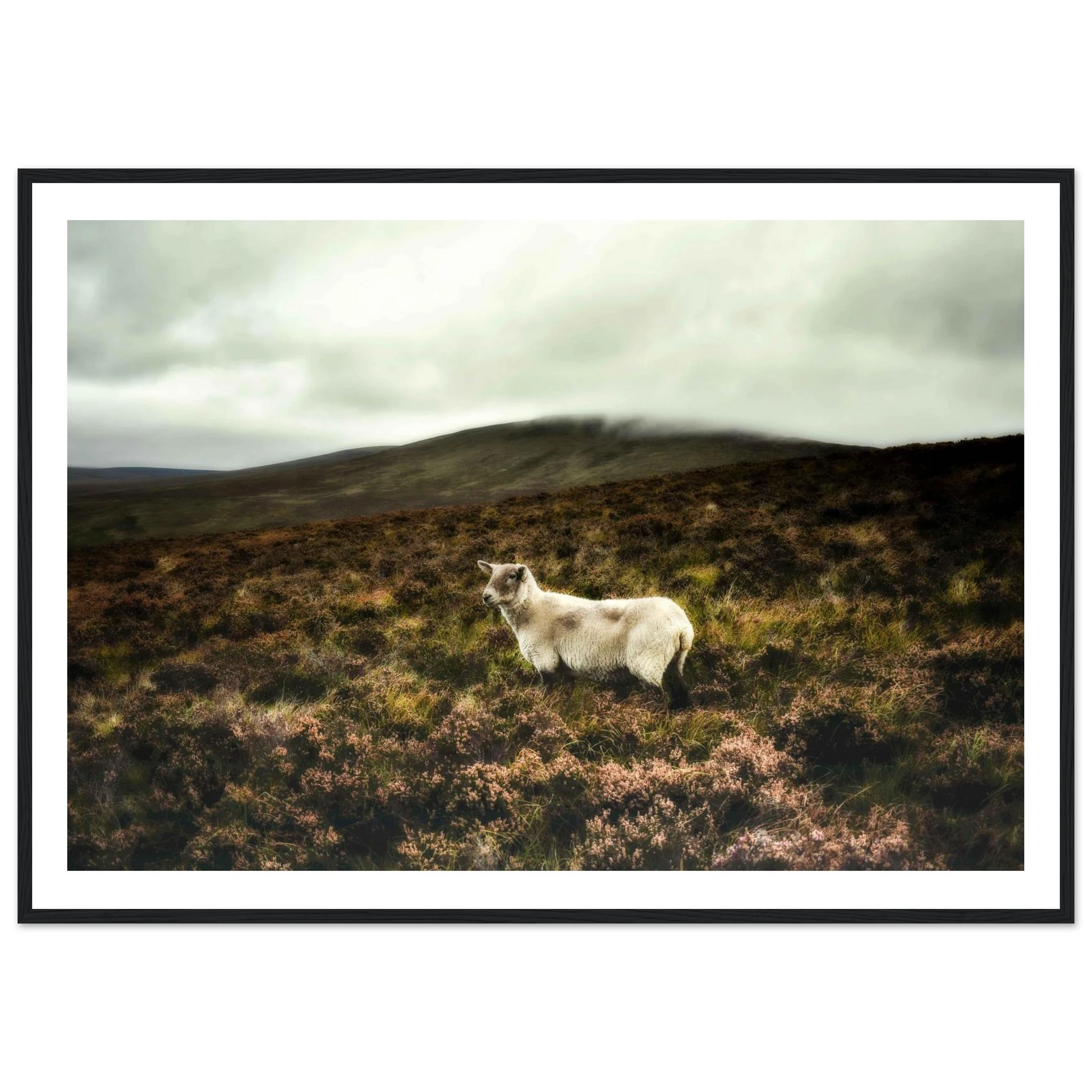 44636918-6f6a-4426-ae16-56f8806c1bea