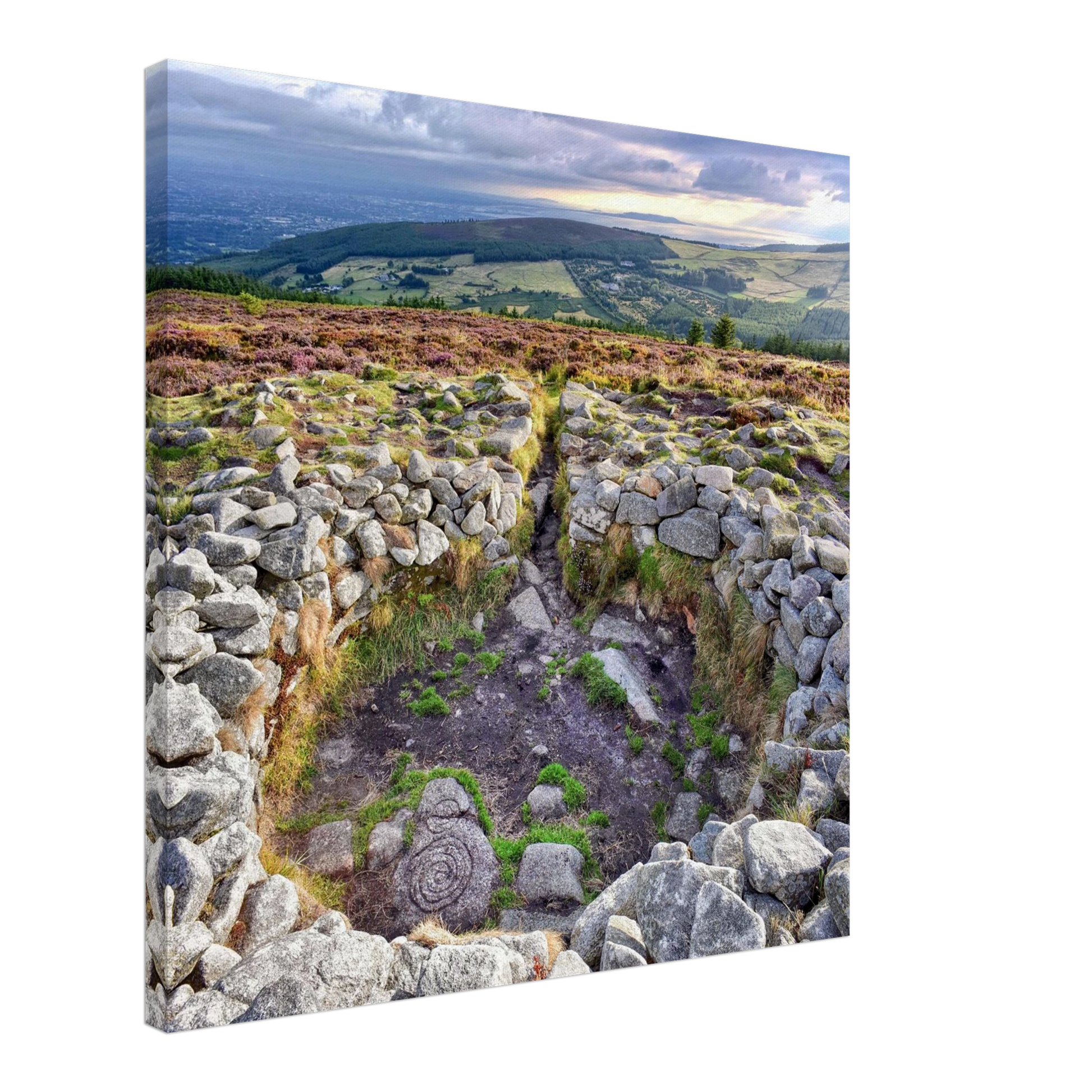 447b9402-1186-4e92-b517-e9748fc8fe30