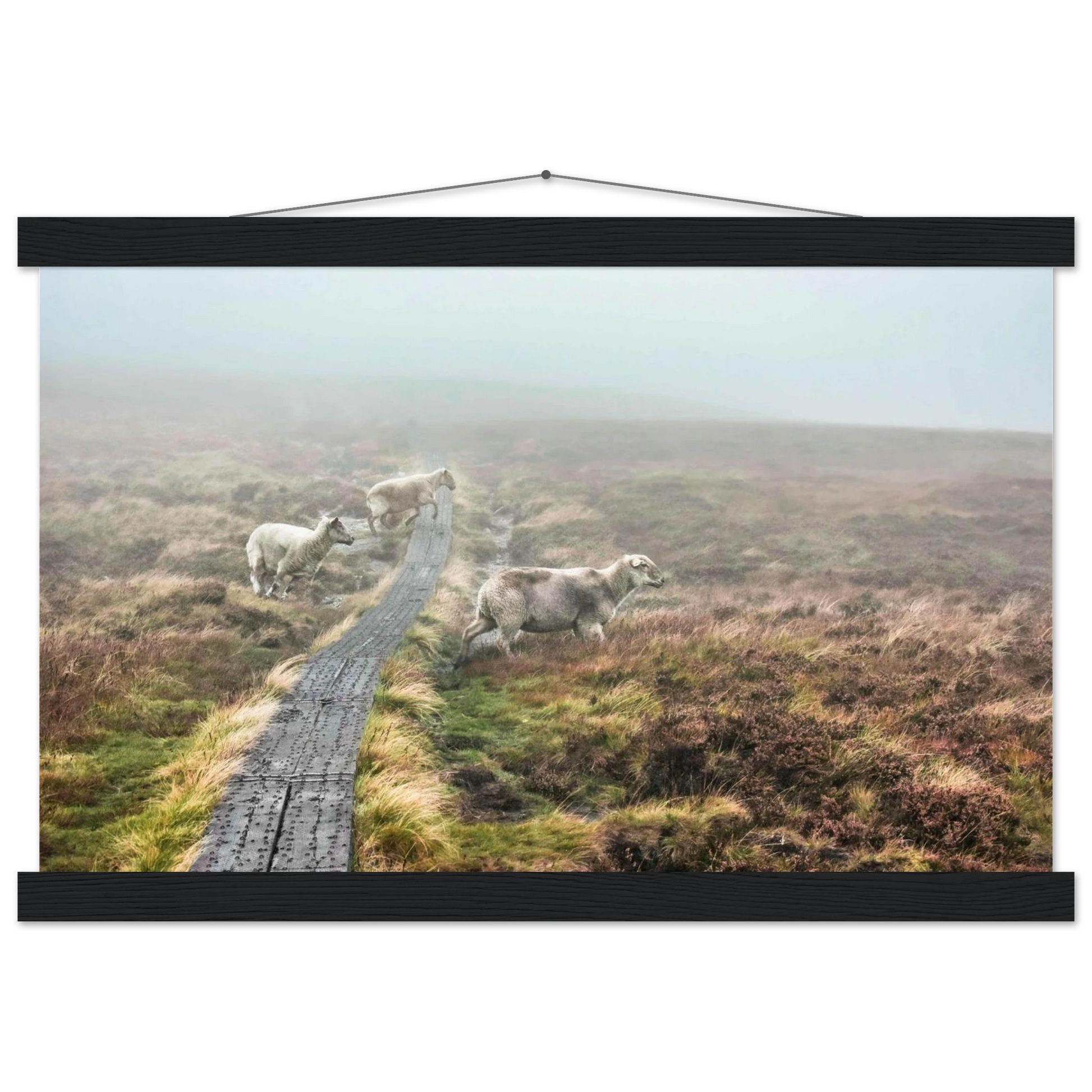 44e76530-13d2-461b-aa57-560db5b02641