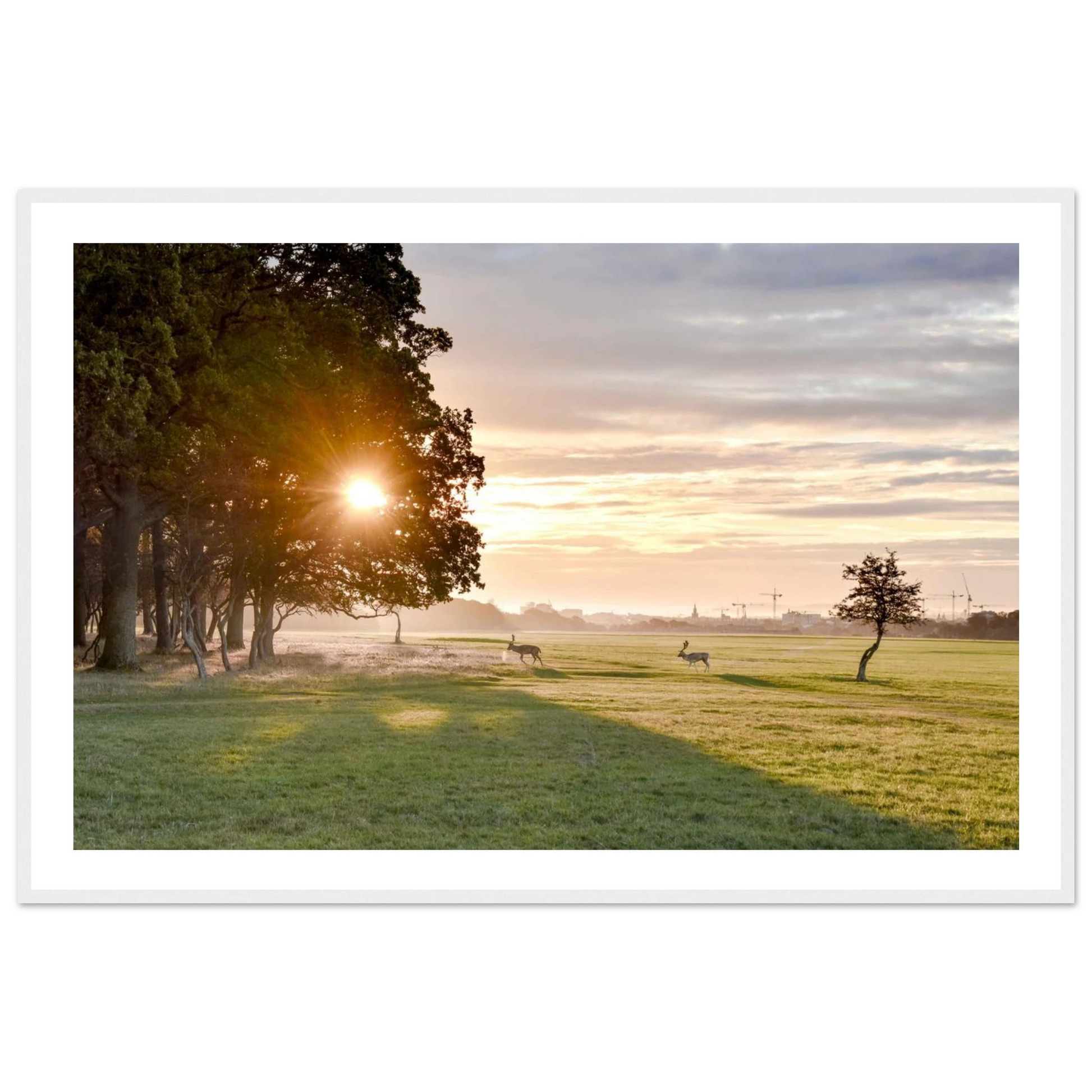 44f87771-e557-4962-b7d4-ac192502a4dc