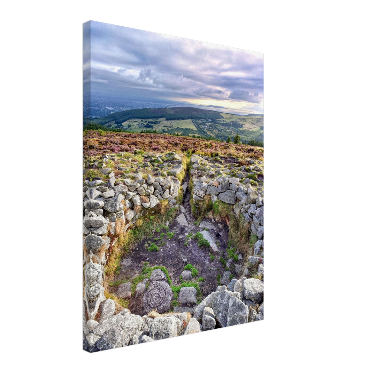 4523a125-1fe4-460a-9b78-a24b4d8861dc