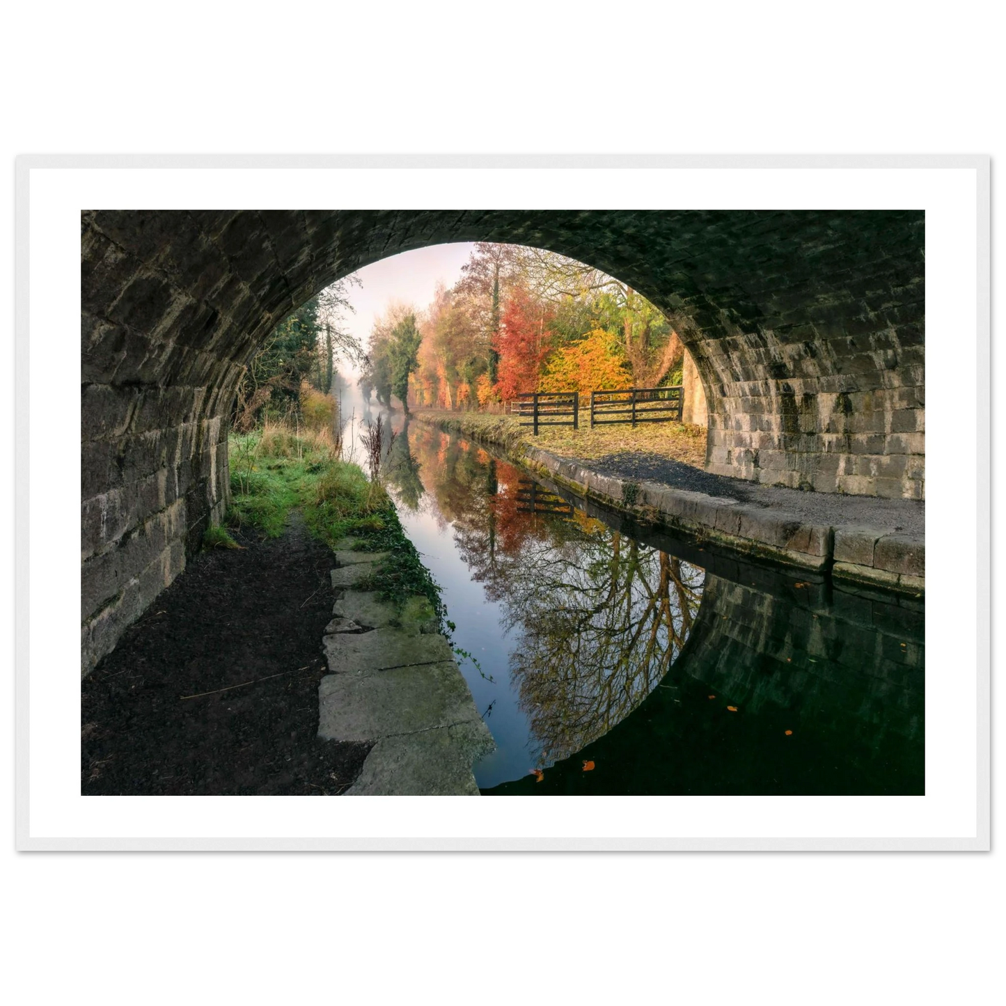 452ed117-7f57-4b44-8fa9-bd4d43acfac5