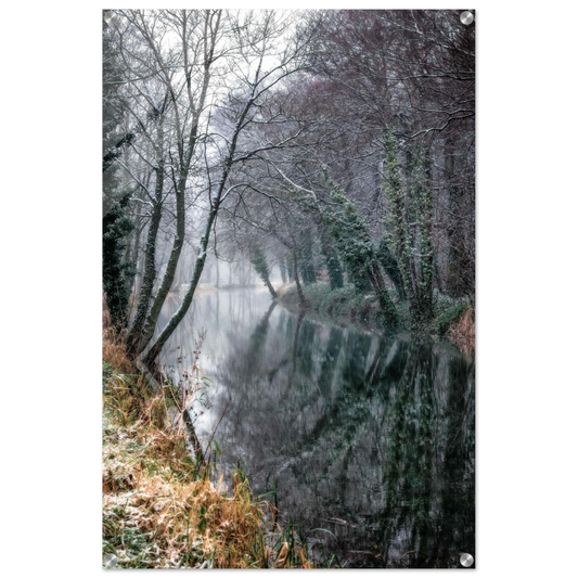 453c534d-866e-48b1-8172-2b274aa13975