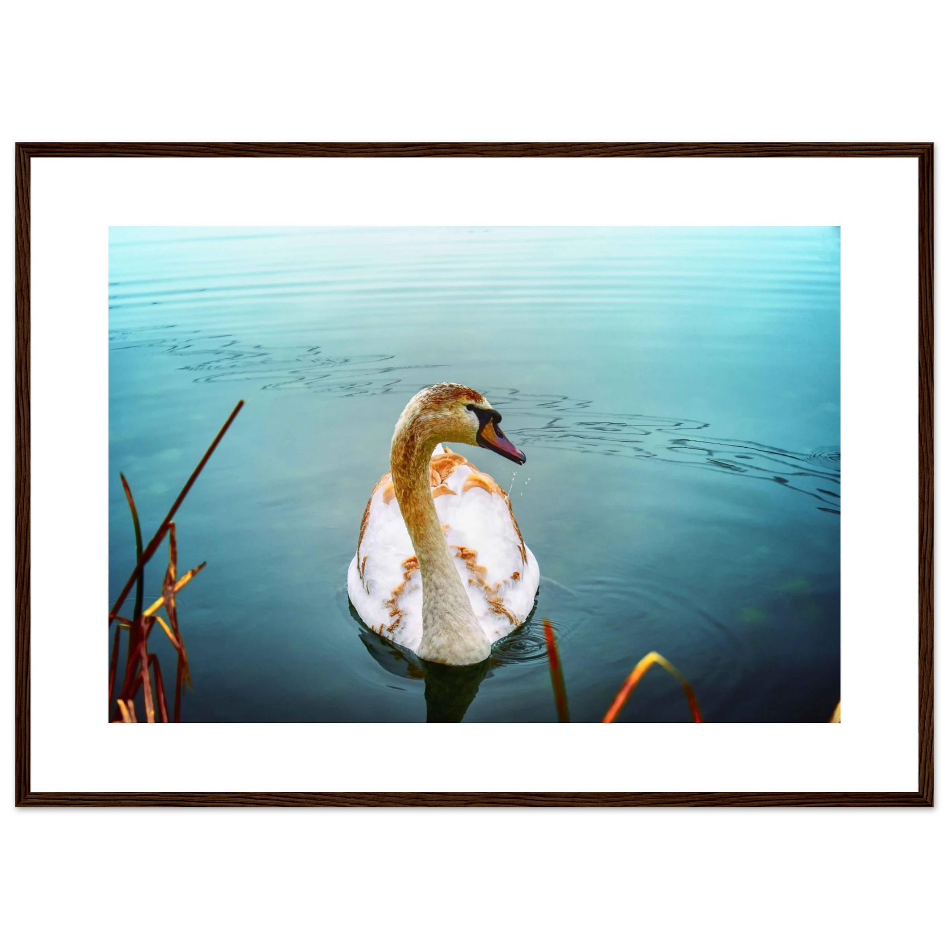 45d76dae-bdaf-4364-92eb-1780130f2188