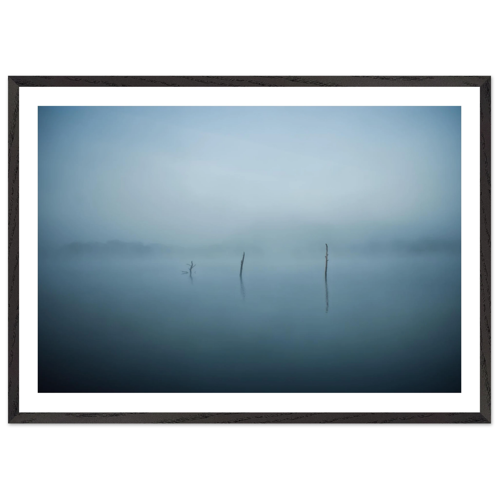 4602c7b5-6389-4d65-aec7-4107e9aceeca