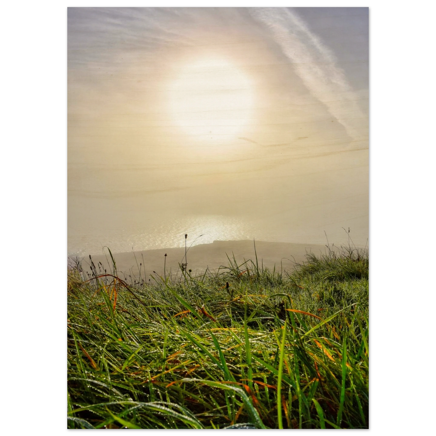 4613c2bd-f081-4ab0-92b6-add40b150b75