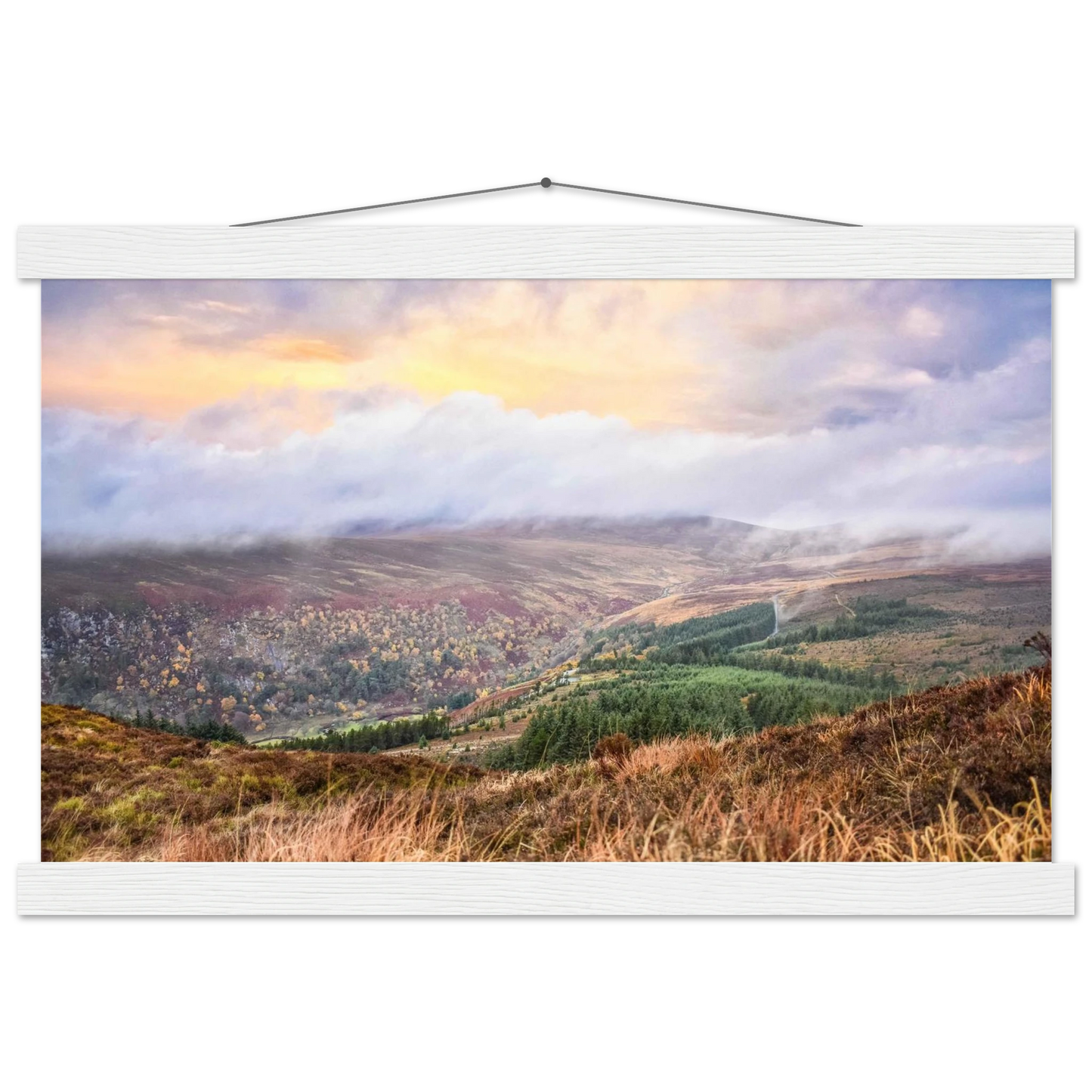 462e088b-0158-47b0-a588-2a18f3d6543a