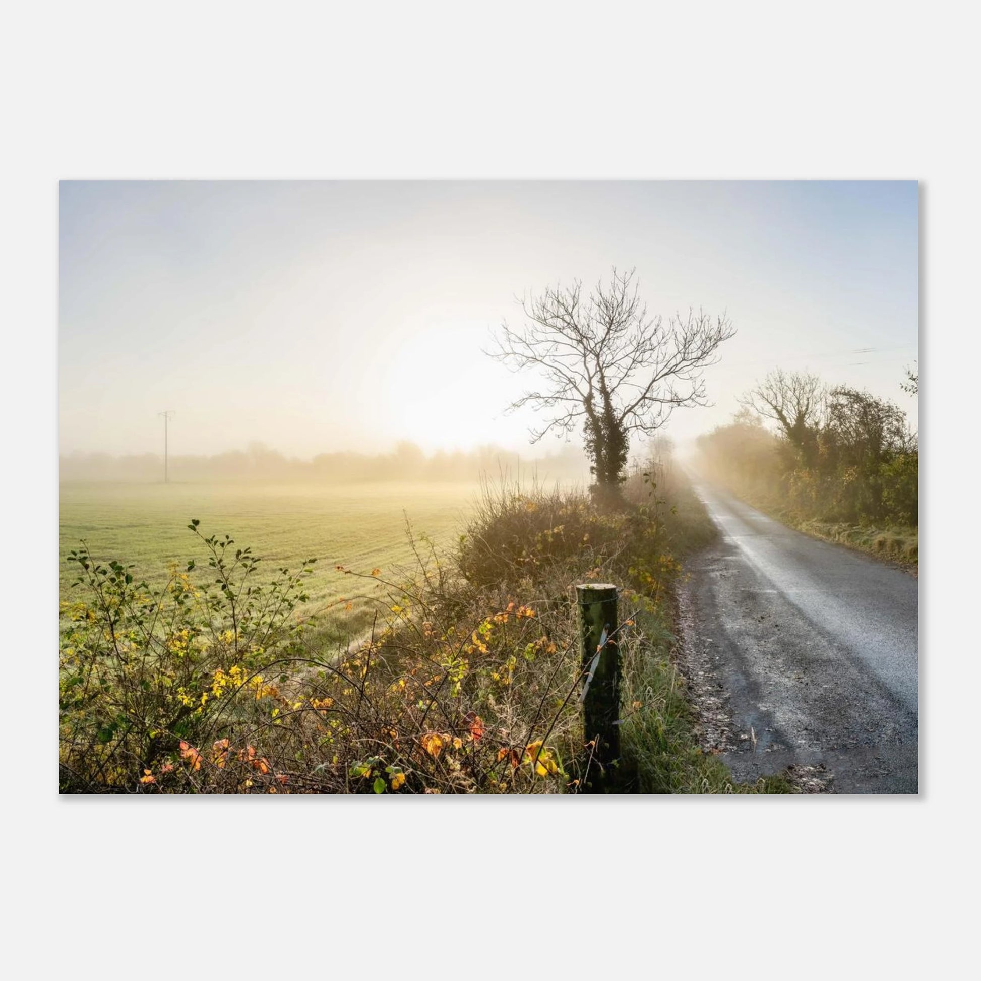 465f2c5e-9181-4bea-b416-d7e5b65cb422