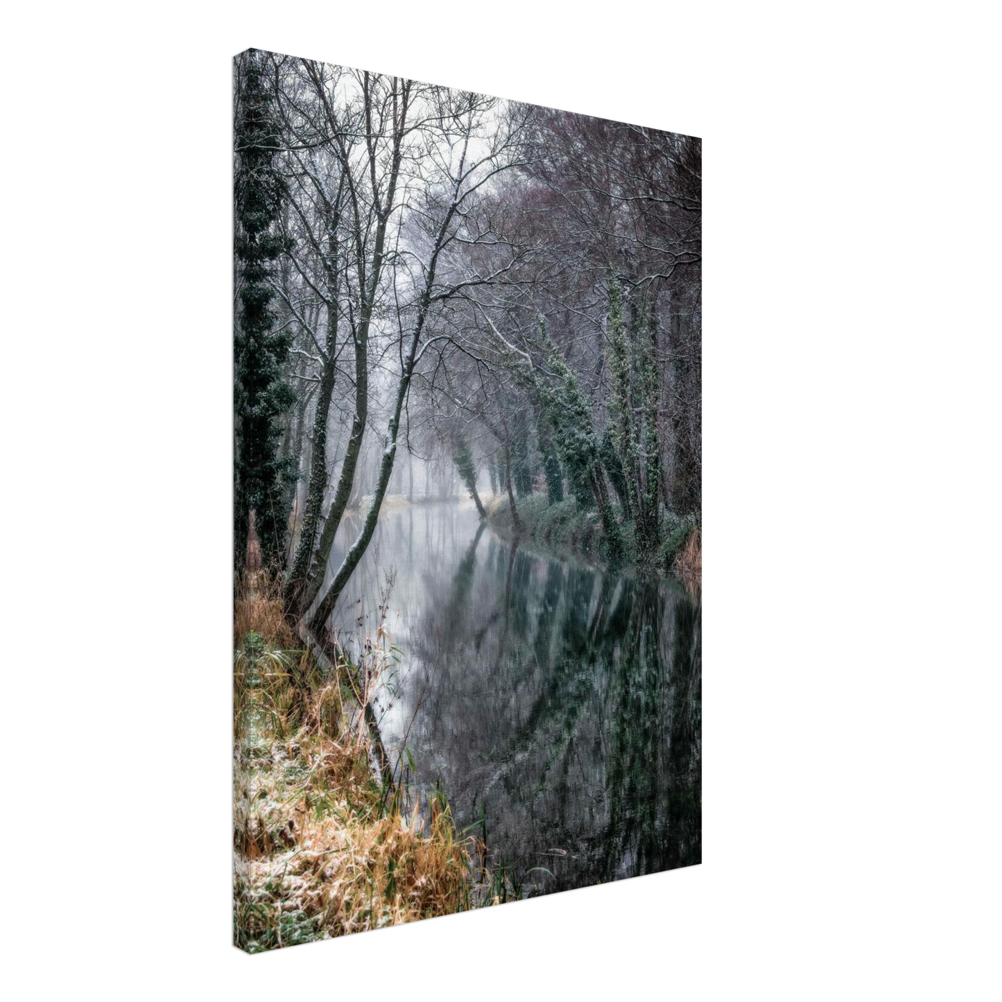 46a42def-73c4-493c-88d0-5a66fcdf28eb