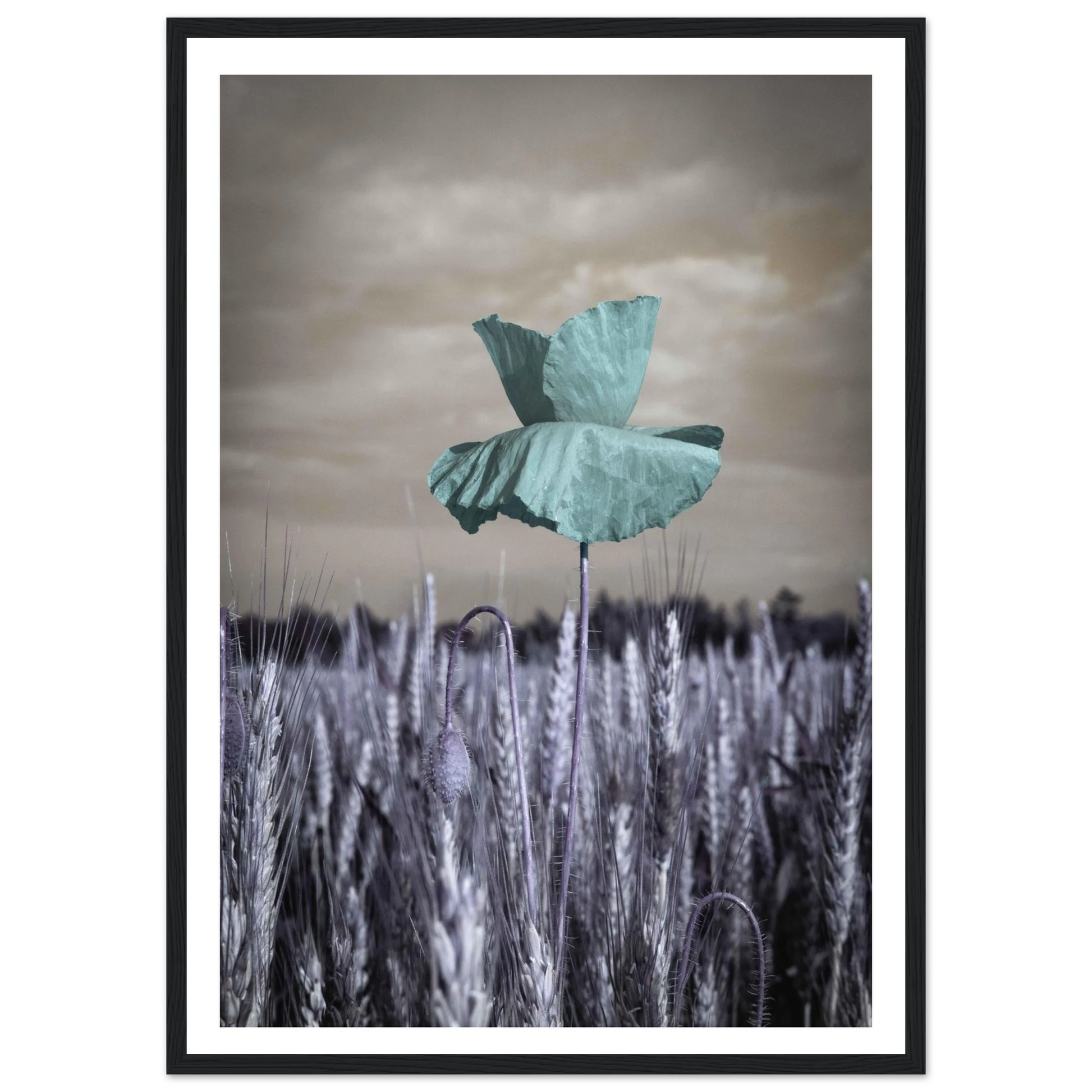 48427d0a-1159-4597-a21c-e588f765302d