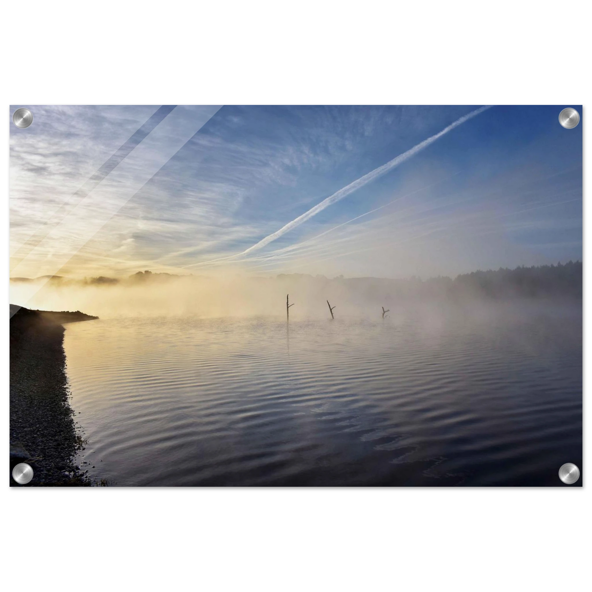 48bd0445-c2ae-4f9c-b2e7-e589a460898a