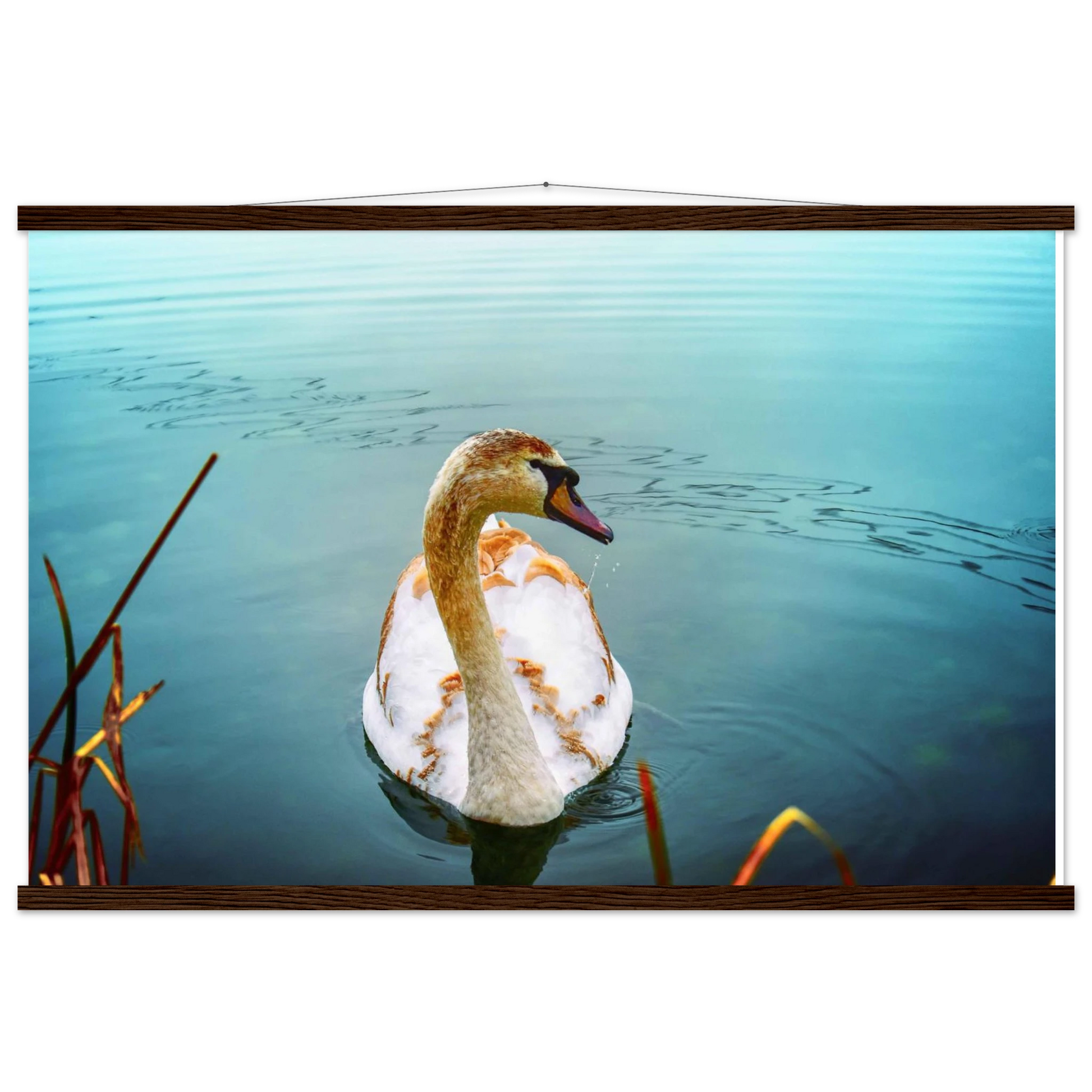 48de8706-7387-4d83-9b81-c8a27954ce43