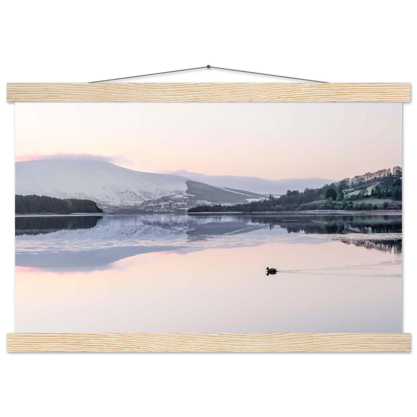 48fc0a83-c7b3-44f4-82a5-24e7c8b4bbf9