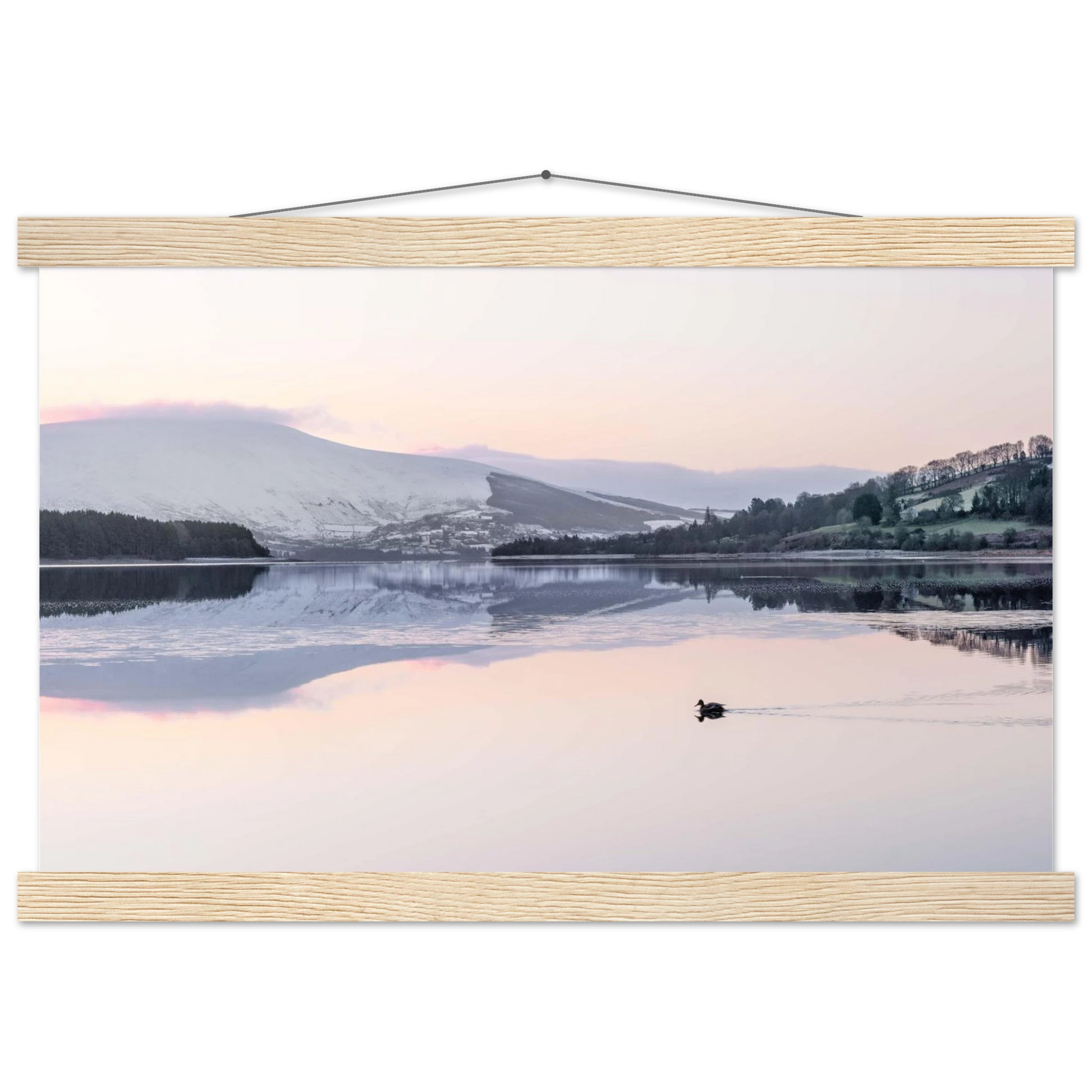 48fc0a83-c7b3-44f4-82a5-24e7c8b4bbf9