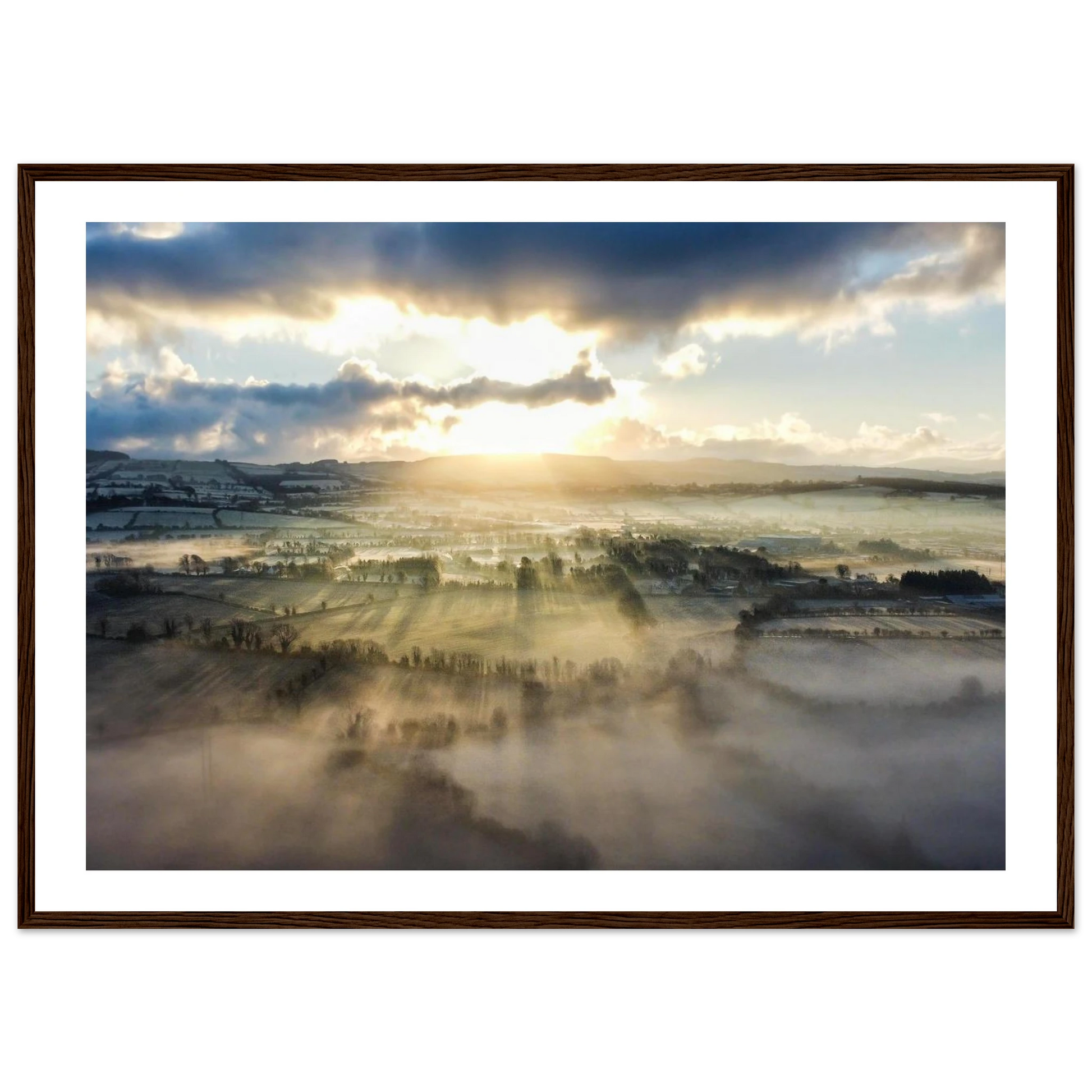 49ca1d3d-d3ab-4e05-bbe8-38af886661dd