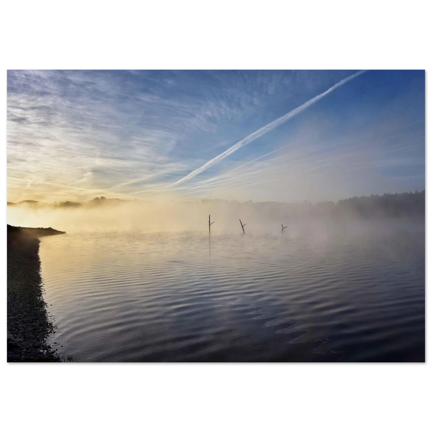 4b23f625-624c-4ff5-893d-f316a650da9a