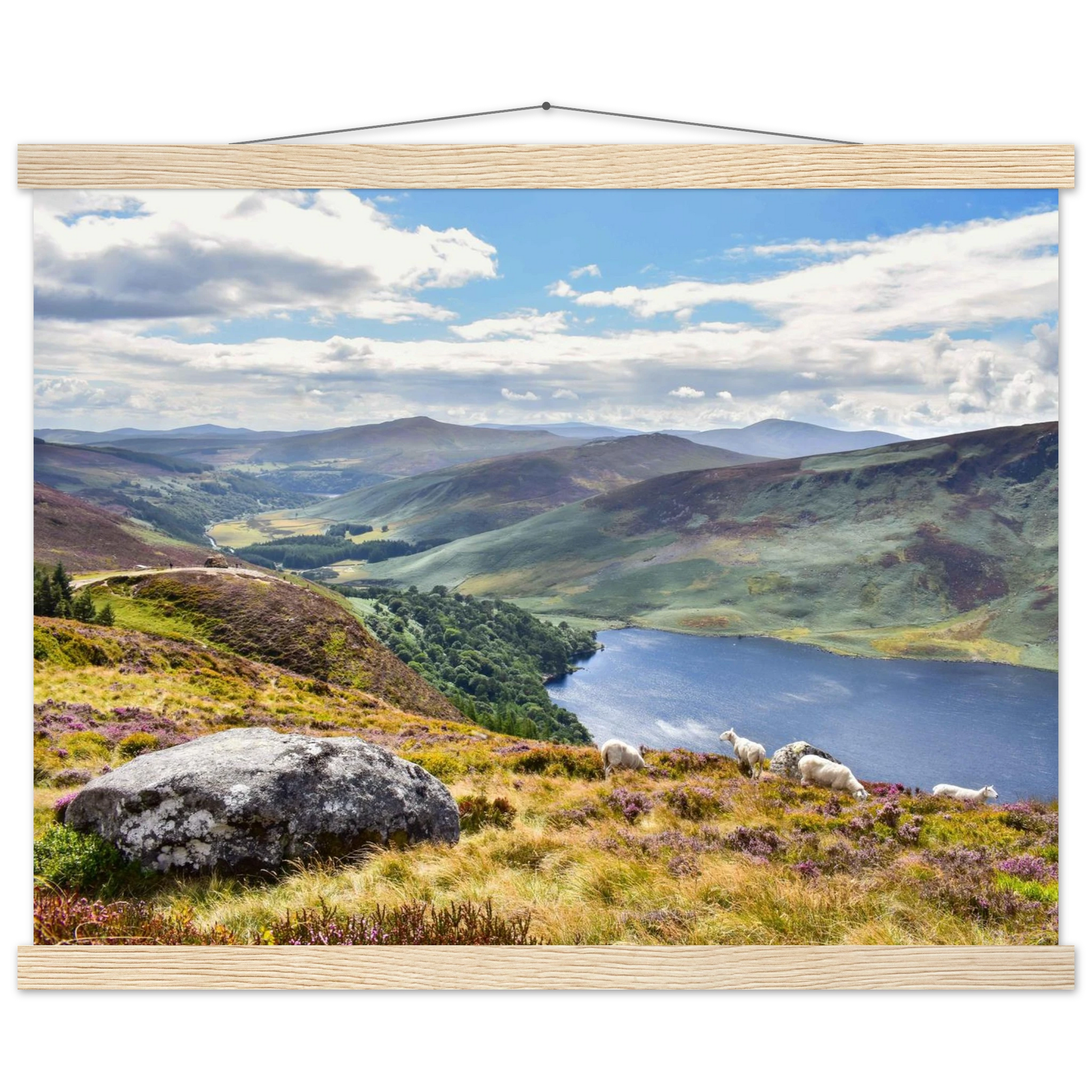 4bc4a394-cab7-497a-a088-3e2e5a2400bc