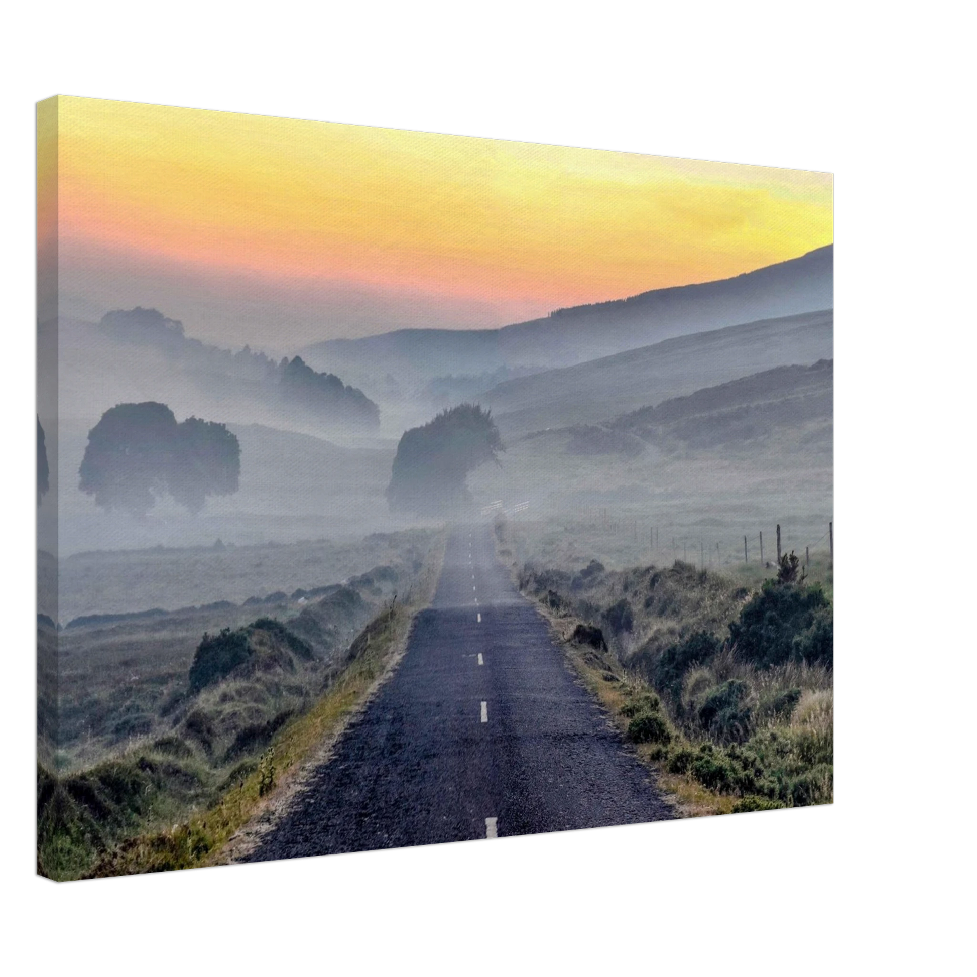 4c393dda-6e1e-40b6-979d-1784d517ee1a