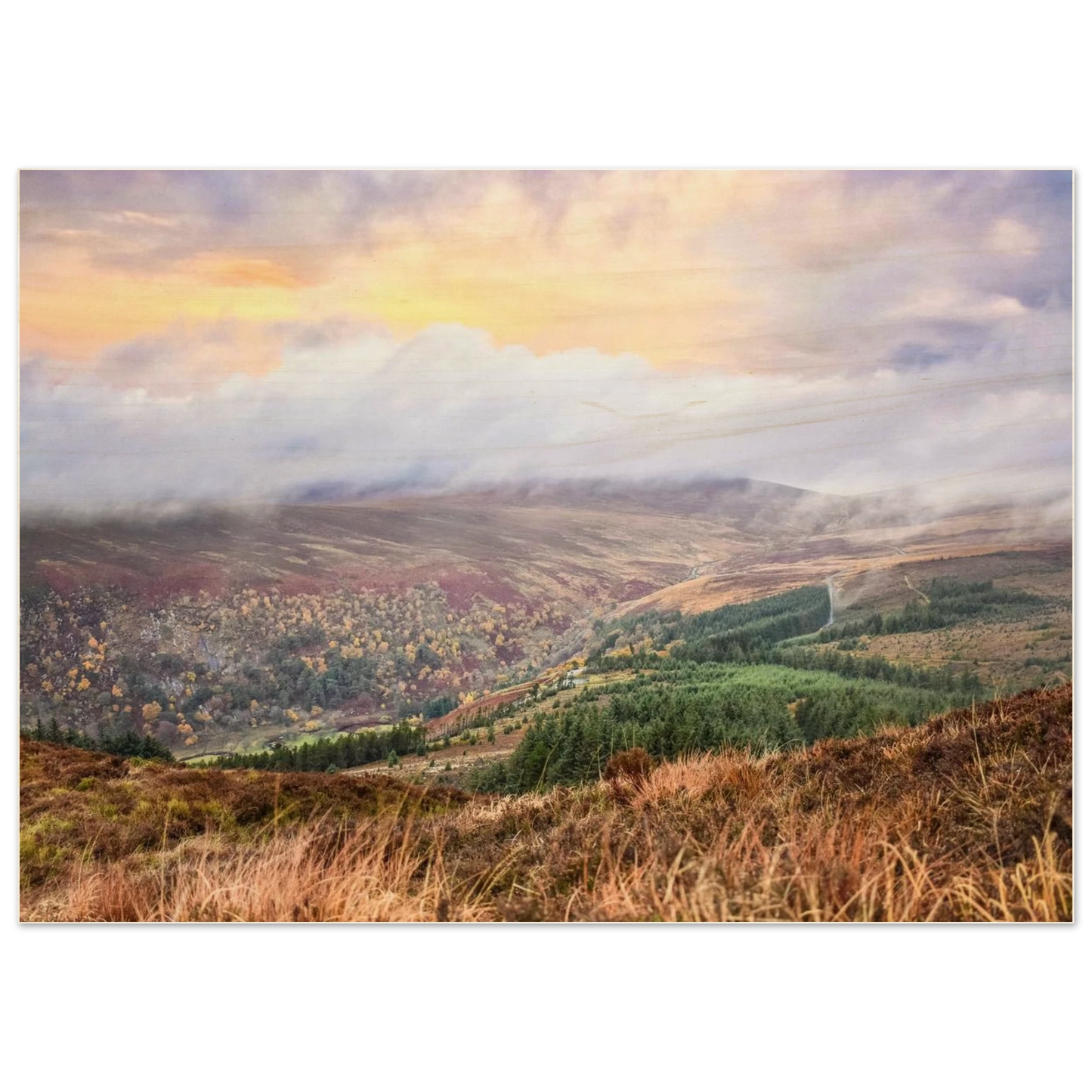 4ca16996-09bd-4396-be03-68ef72d8703f