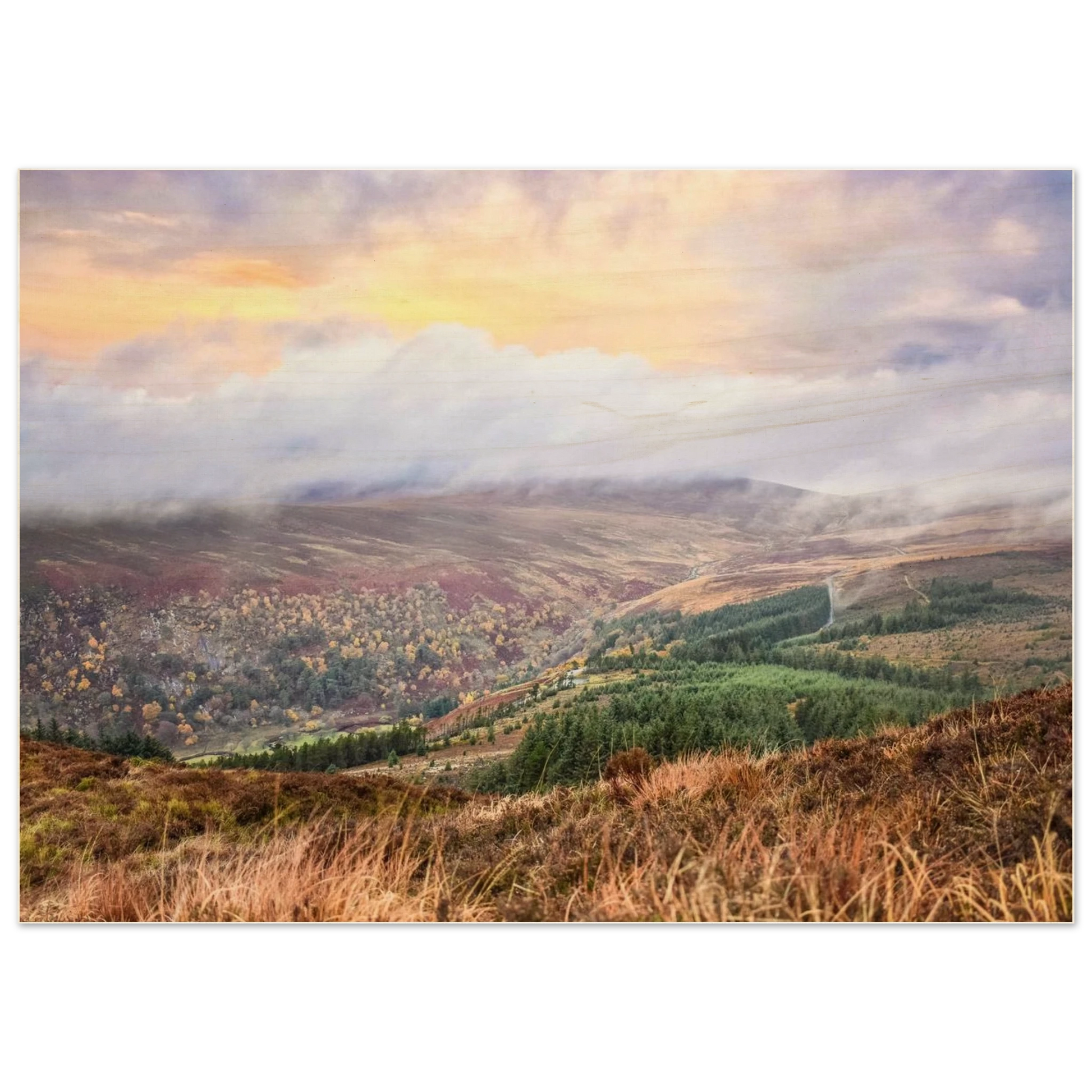 4ca16996-09bd-4396-be03-68ef72d8703f