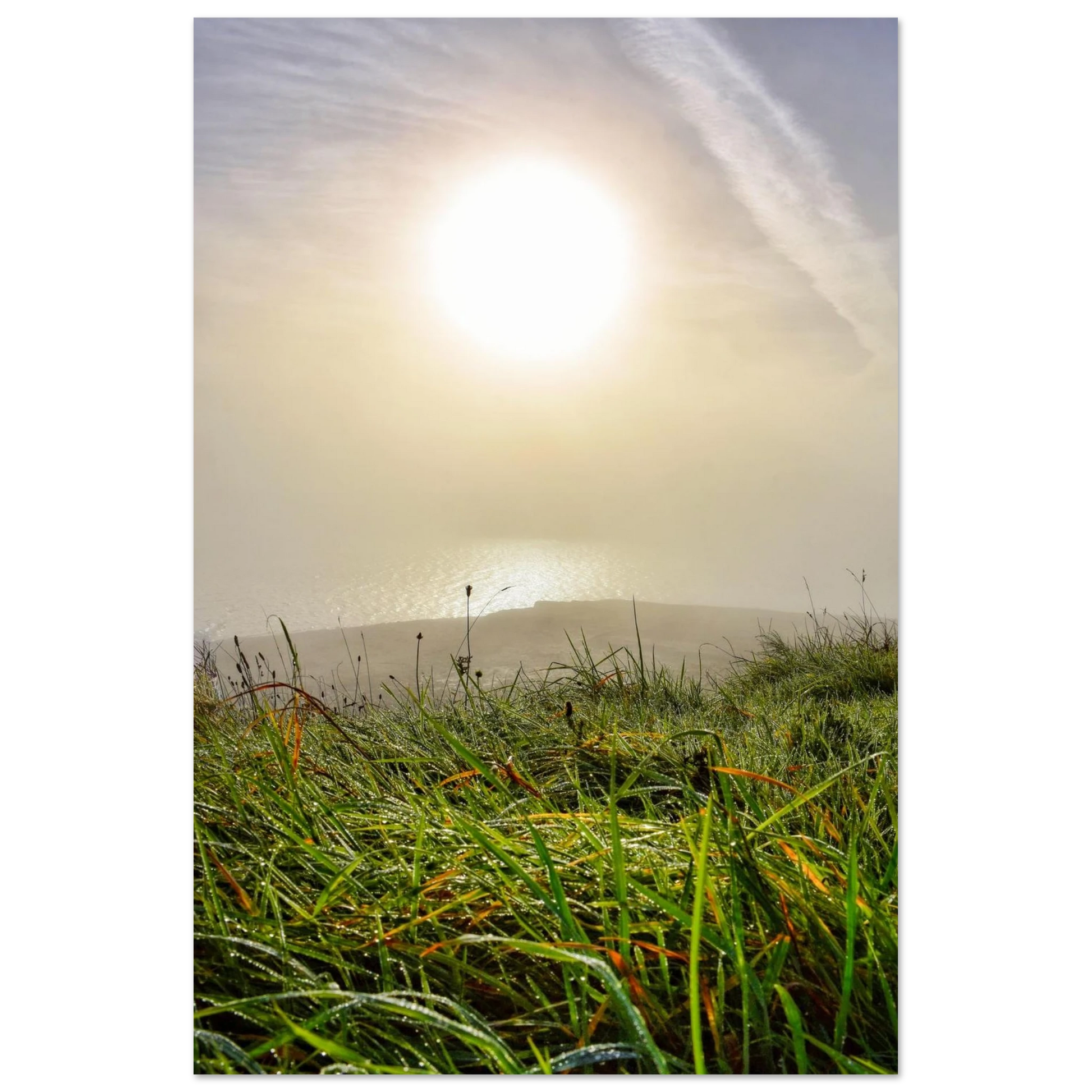 4dd4b1c5-9bfd-4c46-a8d4-7873ef6c7853