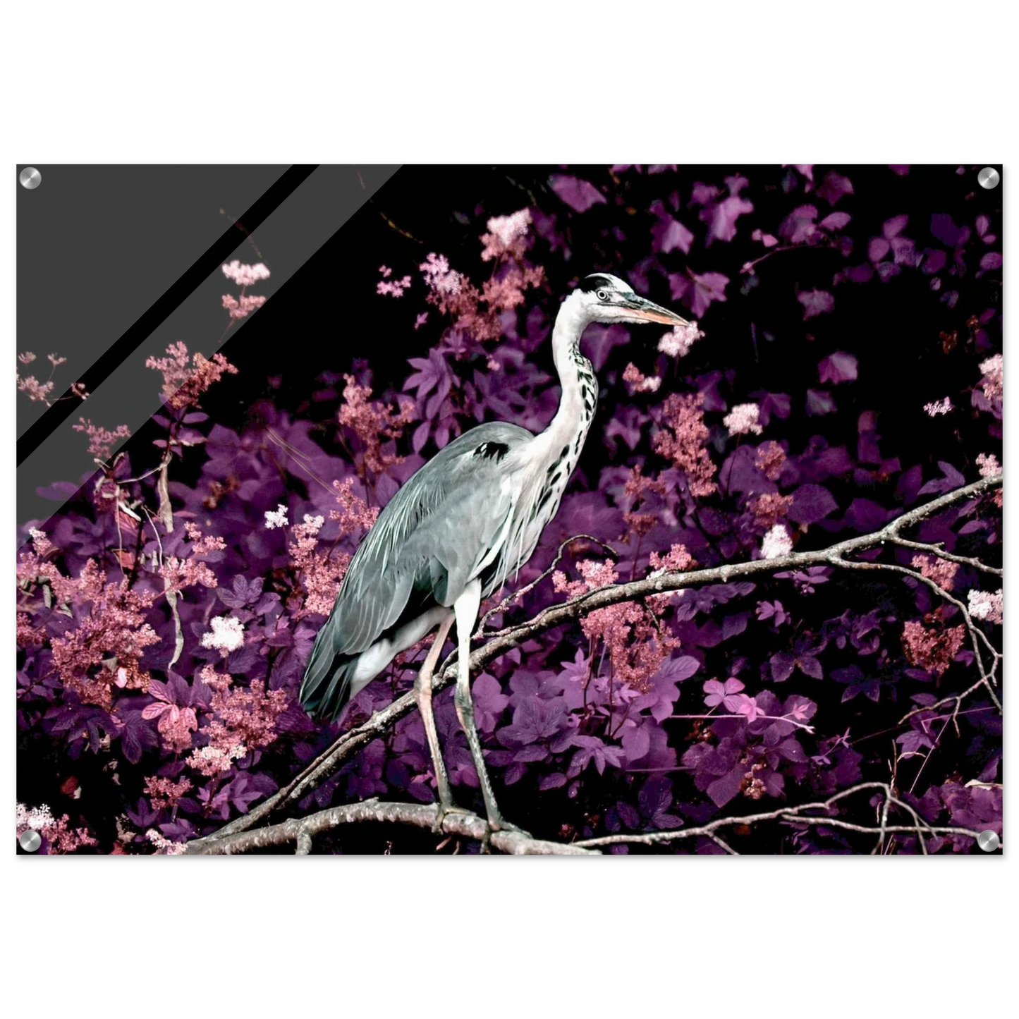 4e2f3144-5f08-4eab-9983-e6efbdc619a8