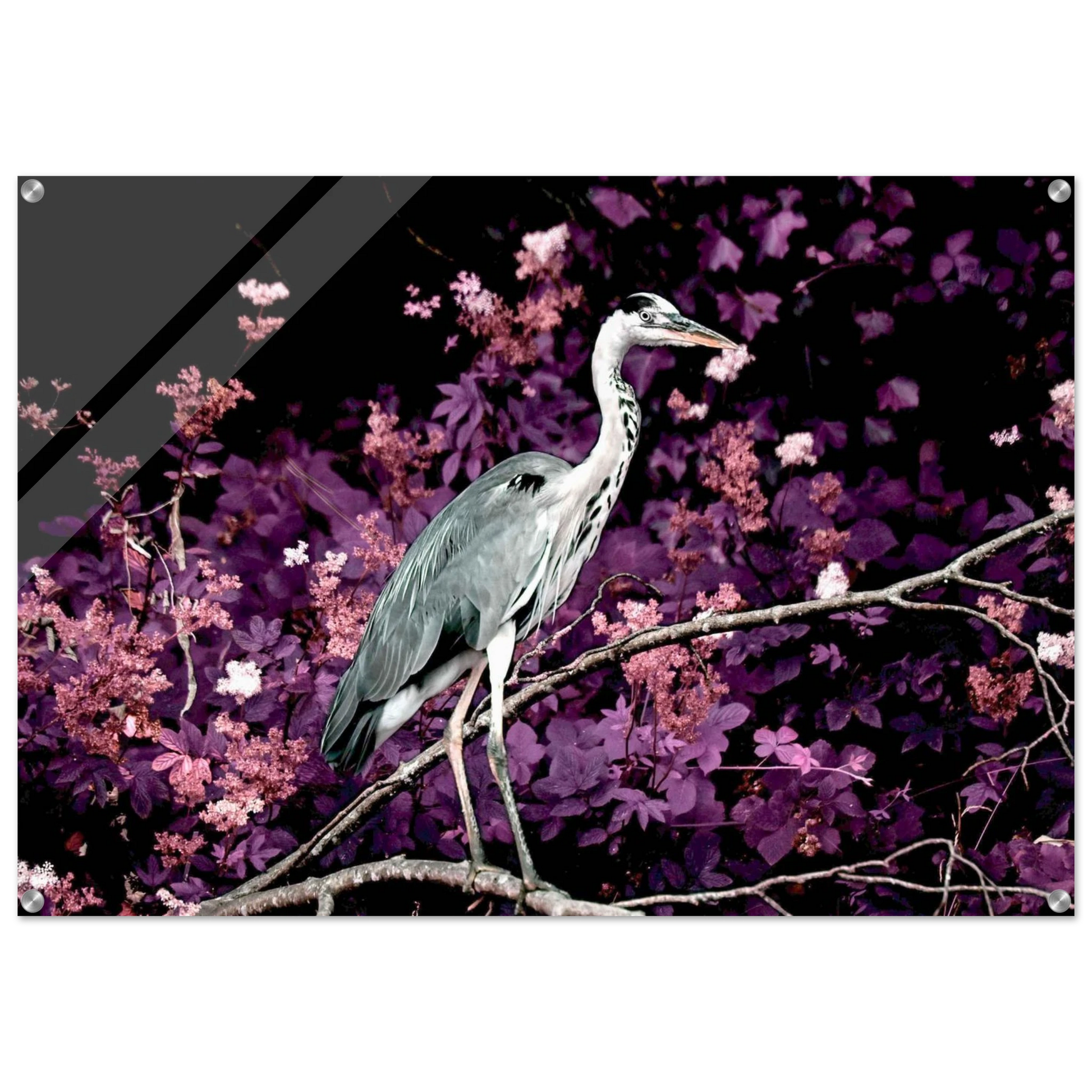 4e2f3144-5f08-4eab-9983-e6efbdc619a8