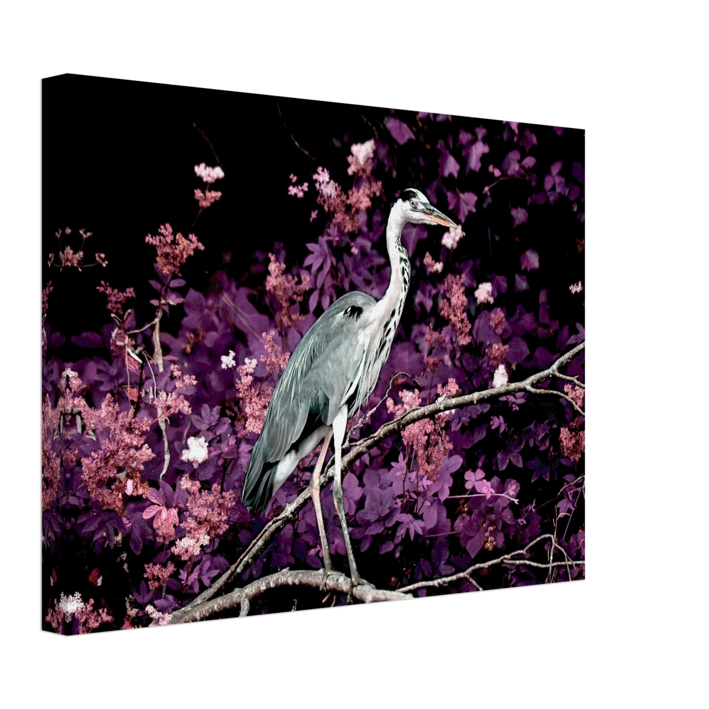 4e33c4b1-8e1e-4eae-b16c-ab0a230c1fc2