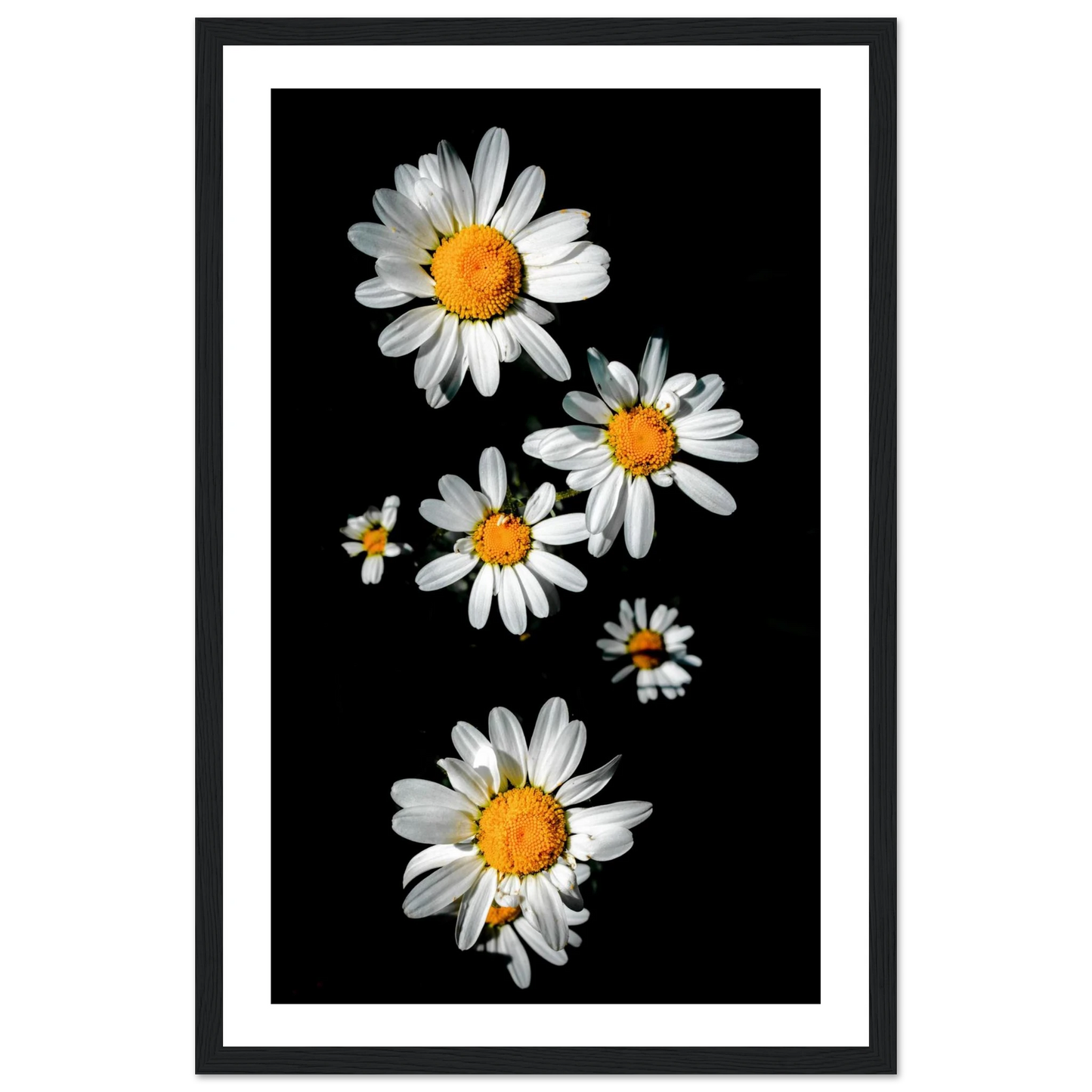 4e36d6c7-d2a3-4bc1-9f01-aefb2ab57c01