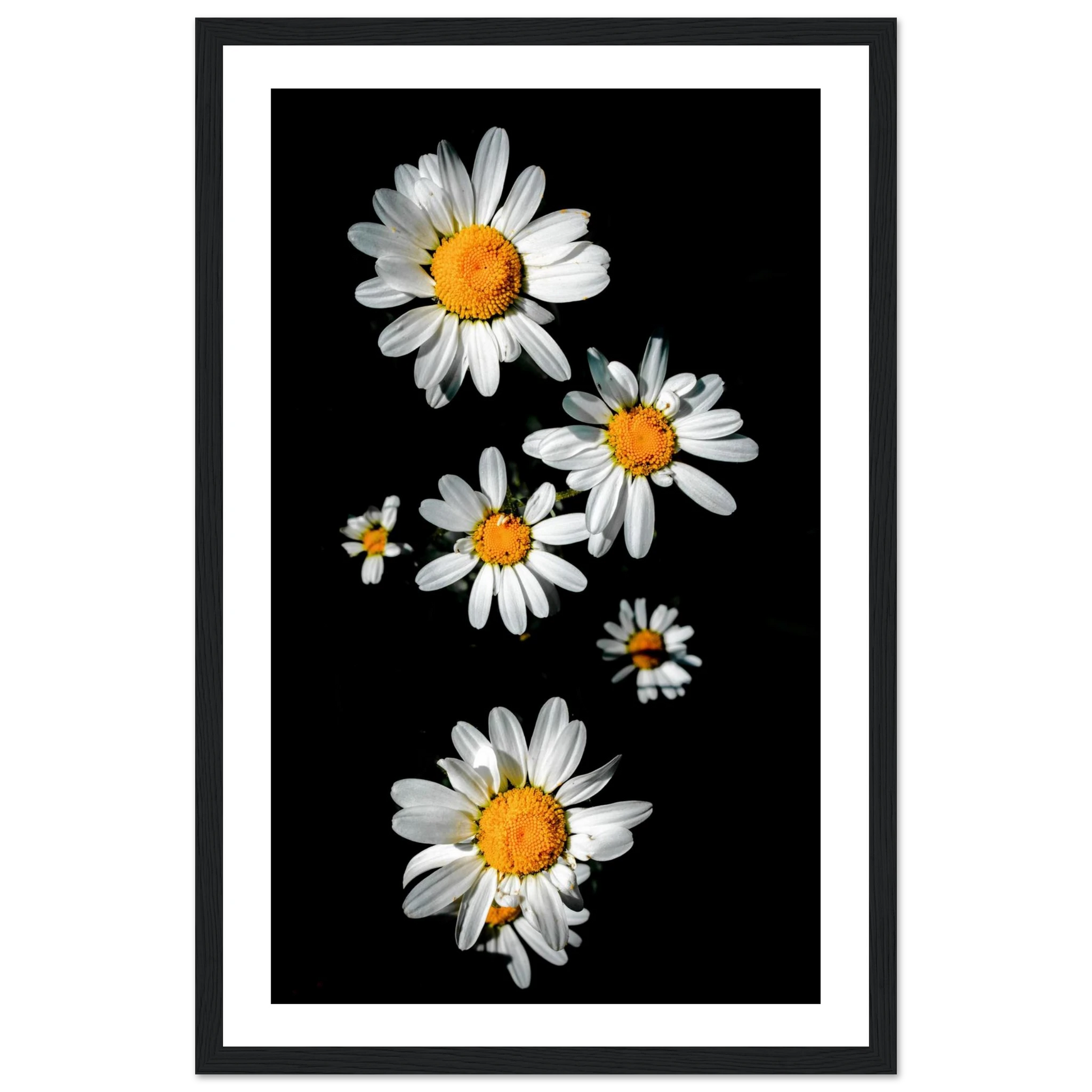 4e36d6c7-d2a3-4bc1-9f01-aefb2ab57c01