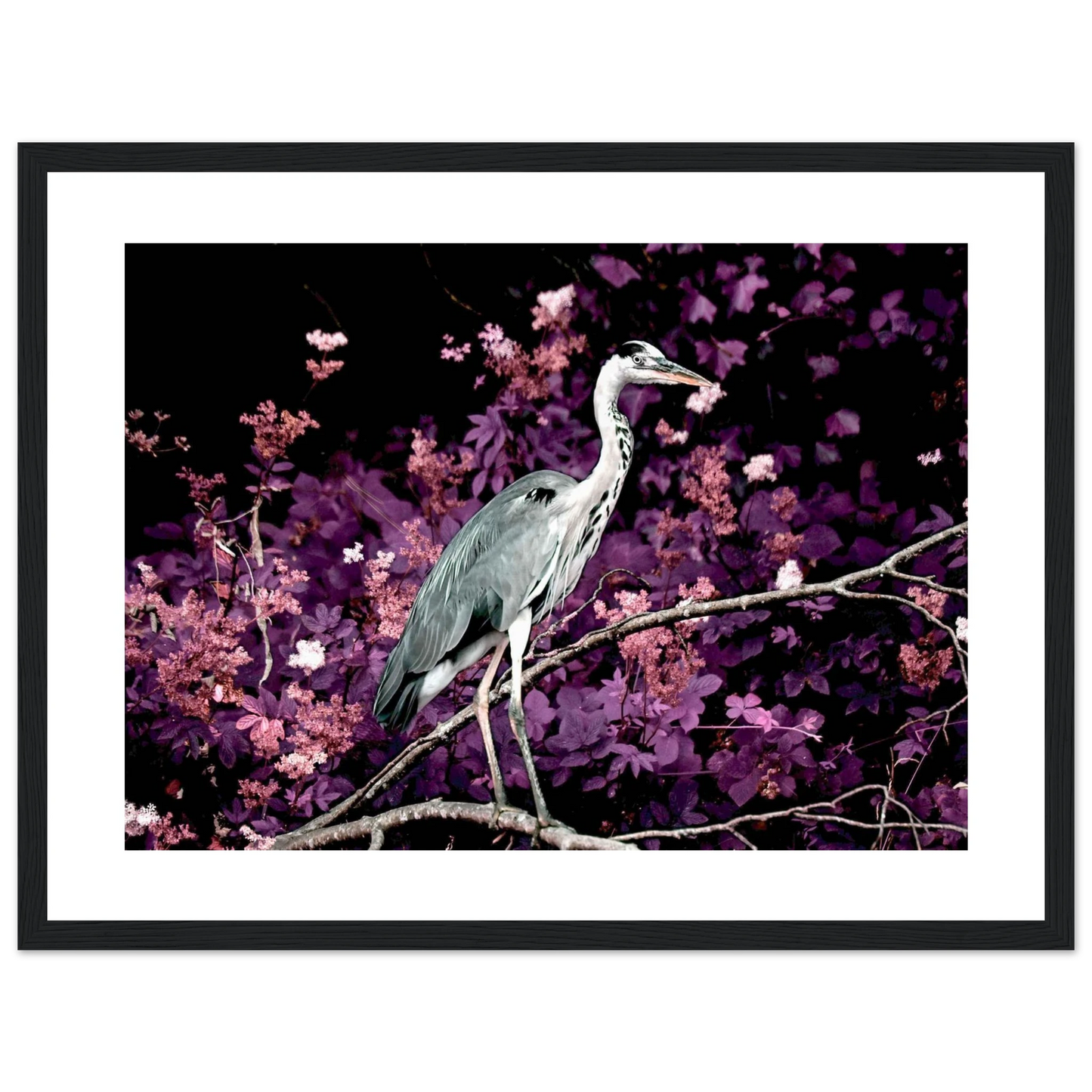 4e7f6728-30f6-4aa7-90ed-b048223df85b