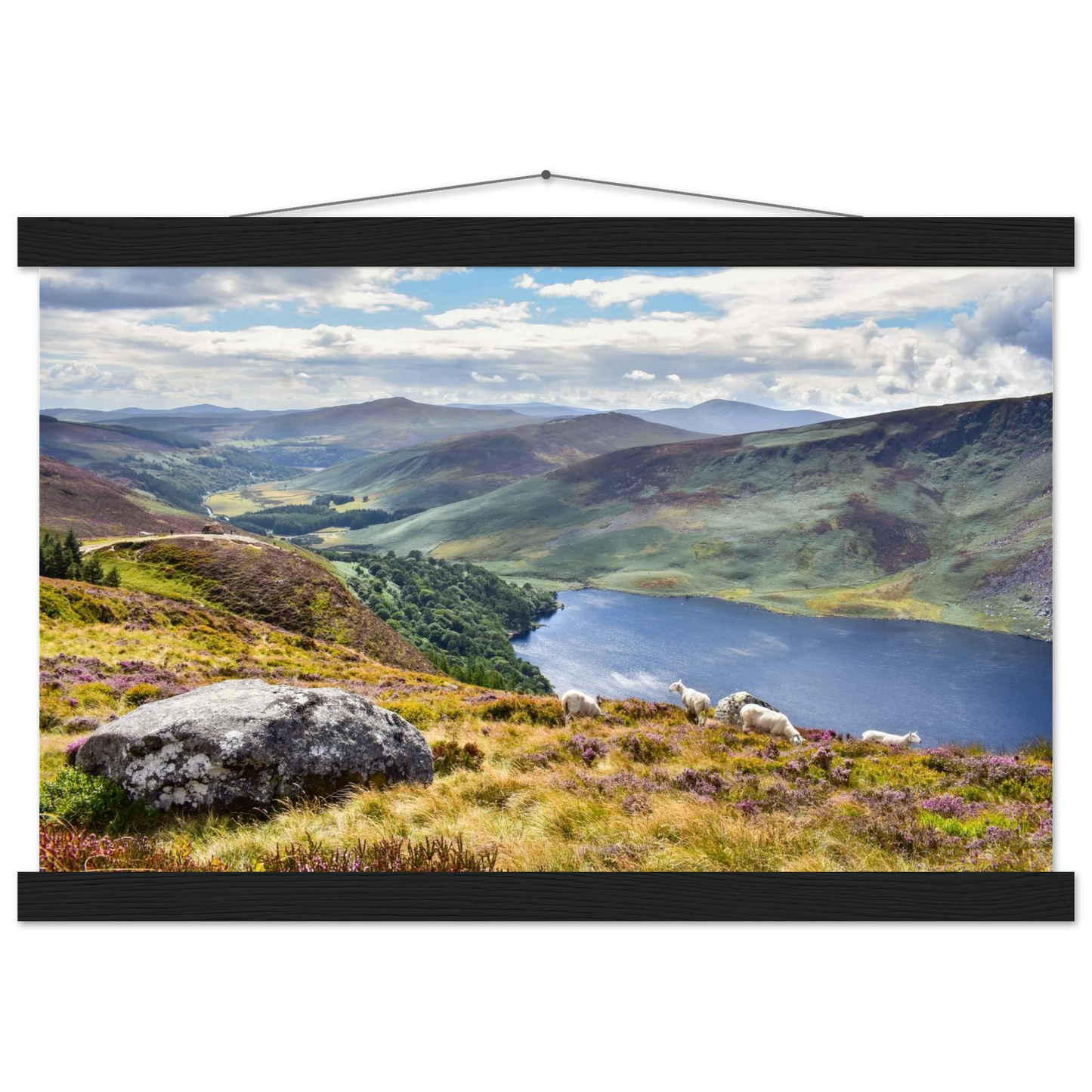 4f23e591-ae22-4cc4-8e9c-15996328fa12