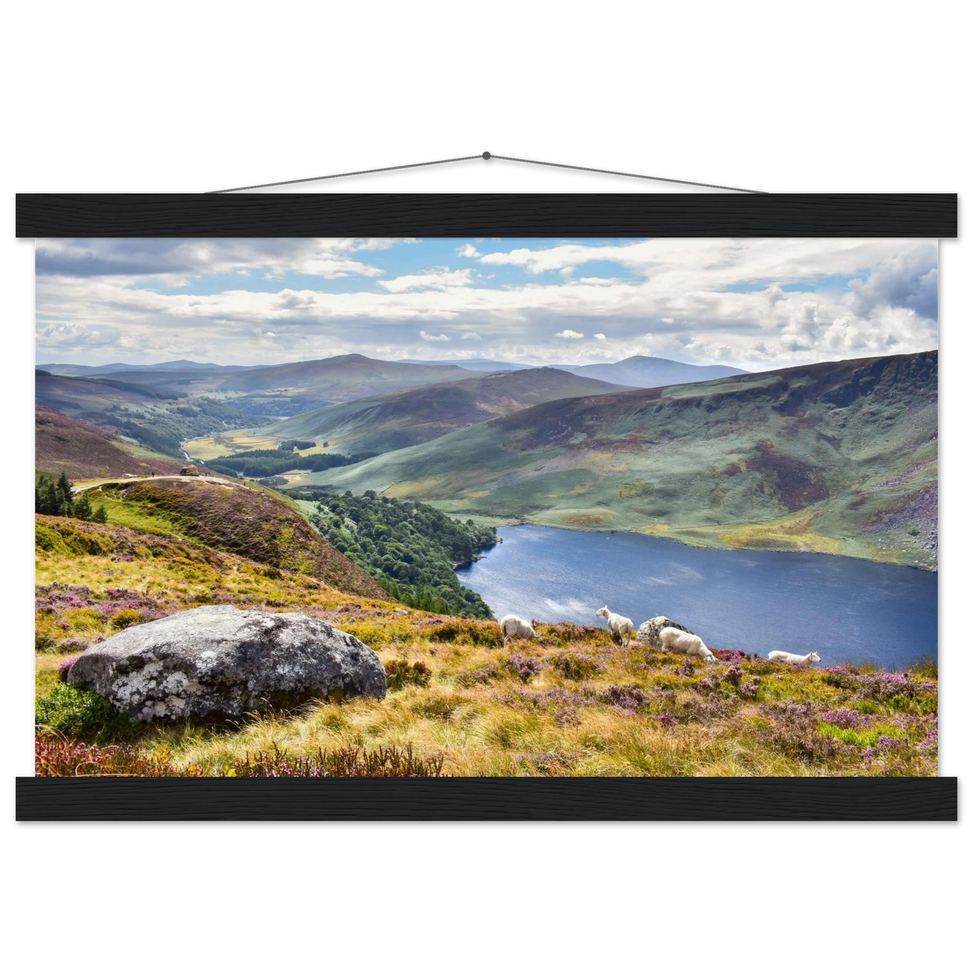 4f23e591-ae22-4cc4-8e9c-15996328fa12