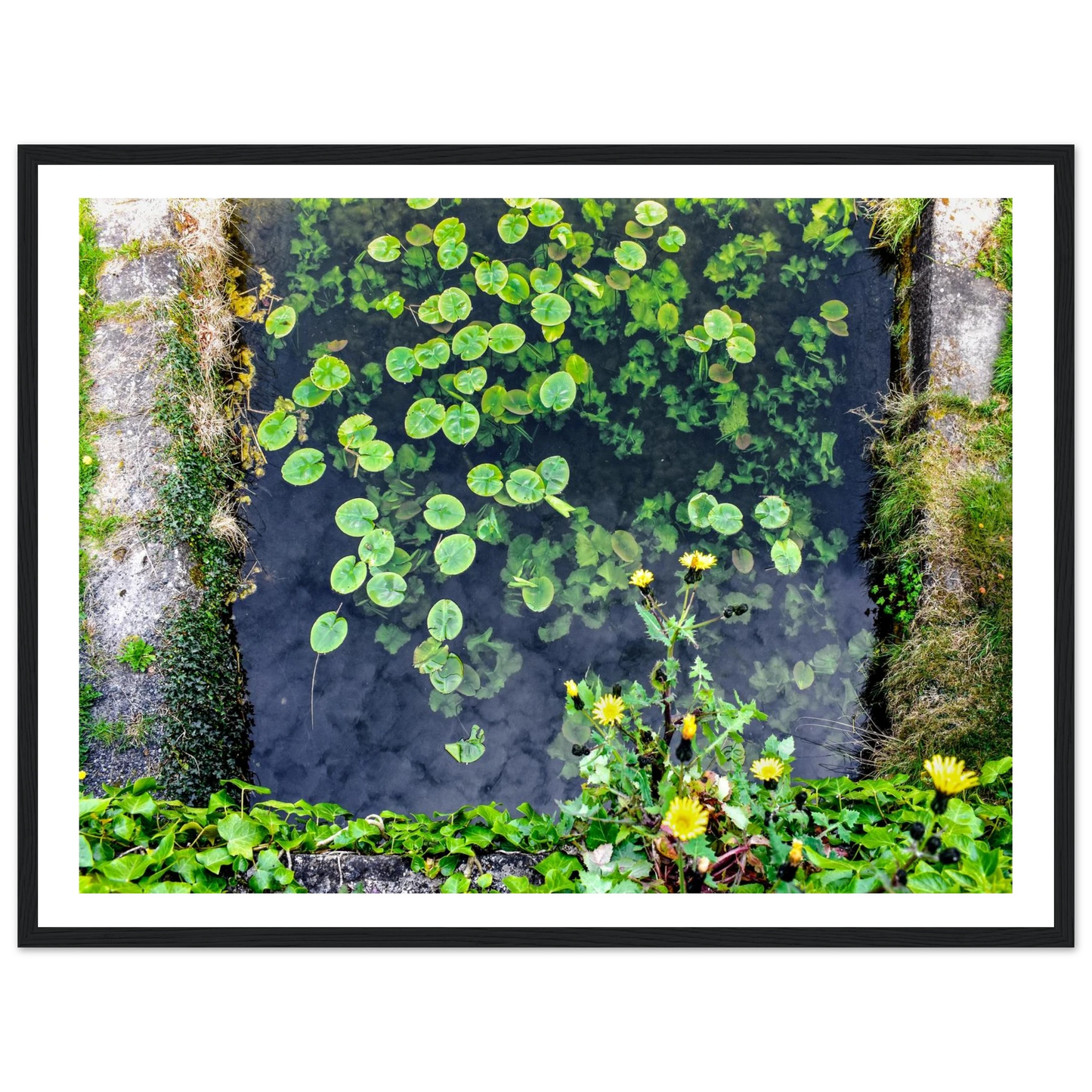 4f2dcc0f-506a-495c-97fc-d96b35ac57d6