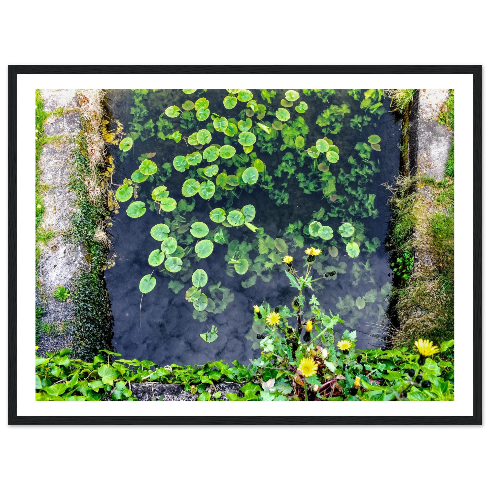 4f2dcc0f-506a-495c-97fc-d96b35ac57d6