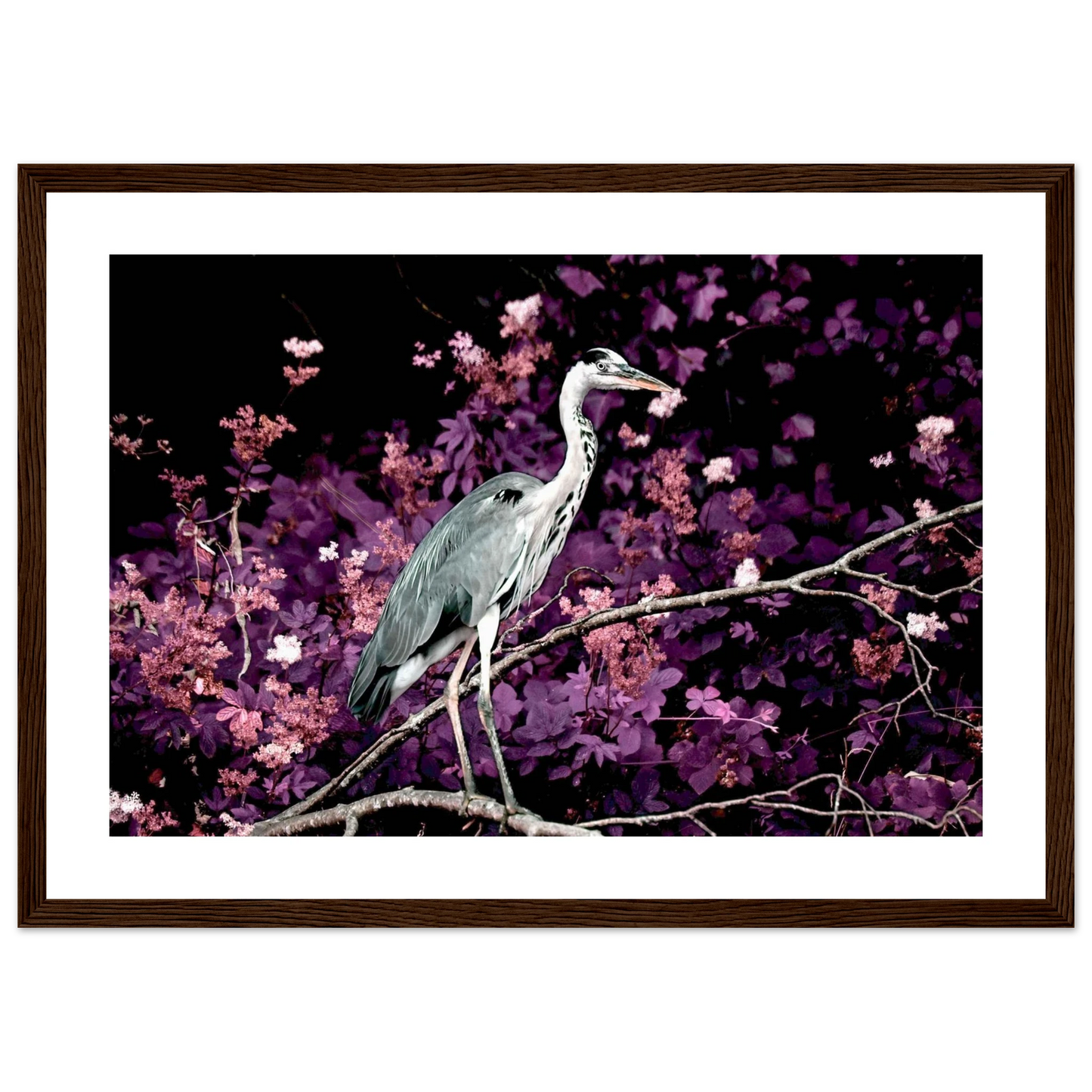 4f31c2c3-8df5-4a12-a2a6-1c2796d4d07c