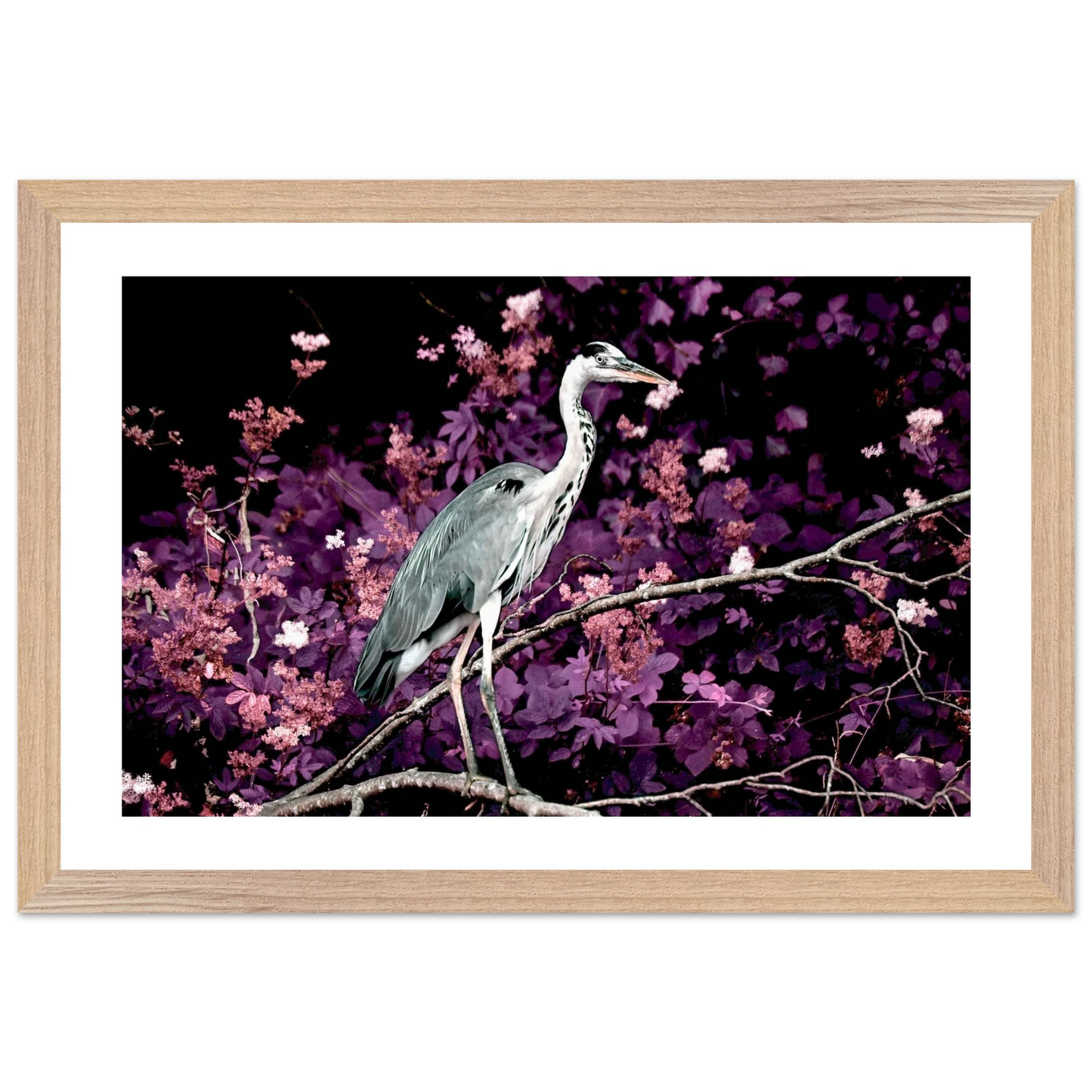 4f72a63a-c3fe-4559-a0dc-17e5144aeba2