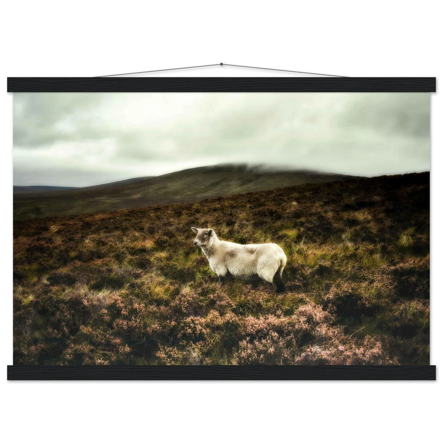 4fcddcec-72b1-450d-b0d6-d8bd0a332ec6