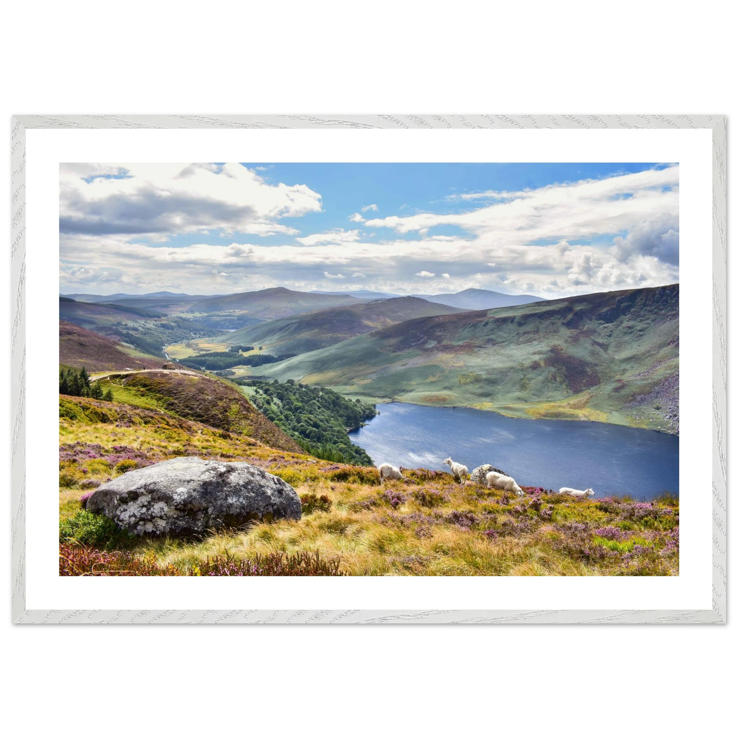 504924b5-2d59-435a-aac1-0c02fd4bbc19