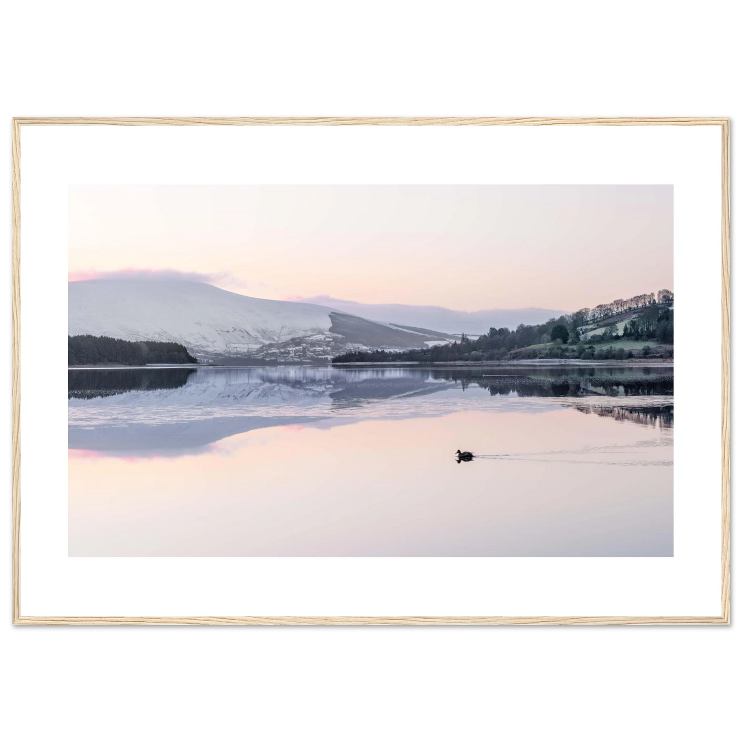 50c9107f-2ca7-4d2b-b379-ecc7016e907f