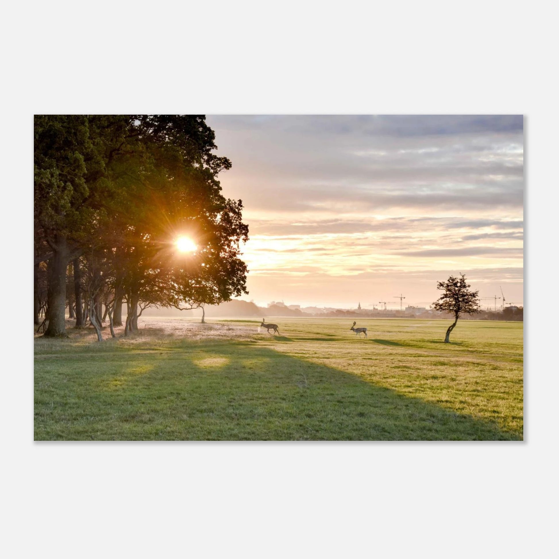 50cb6998-6d38-45aa-98eb-e322a0b13d64