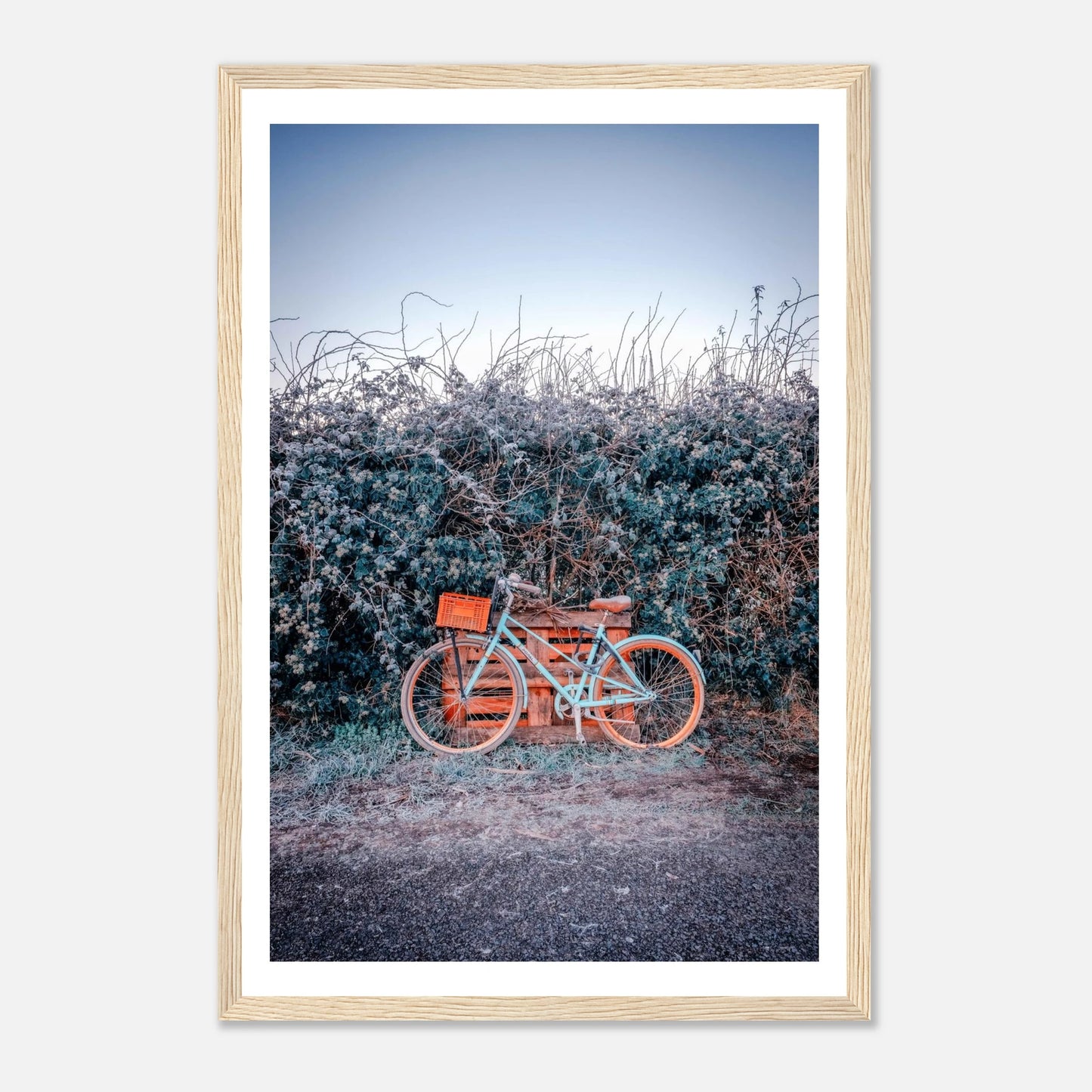 50d781f4-31a2-4a9c-8a94-e2414bbf783a